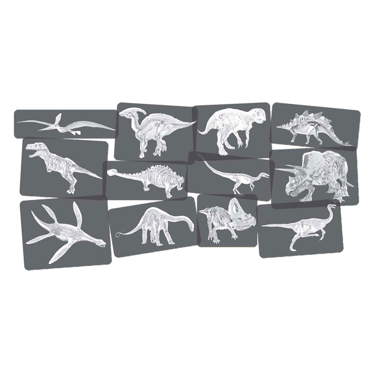 Ontdekkingskaarten Dino Afbeeldingen en X-Ray - 24st.