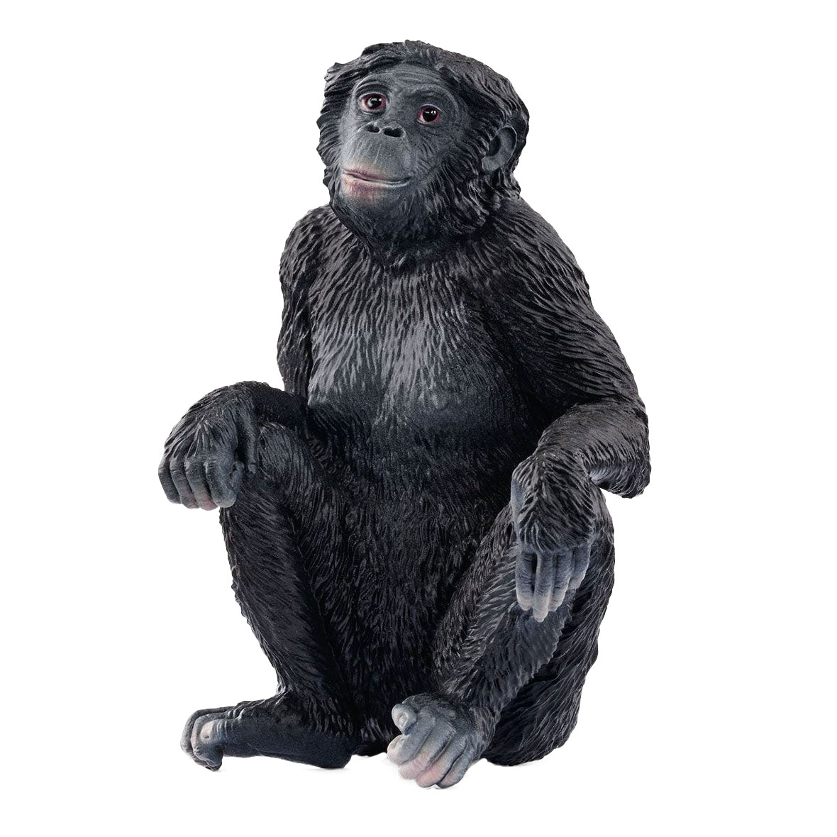 Schleich WILD LIFE Bonobo femelle 14875