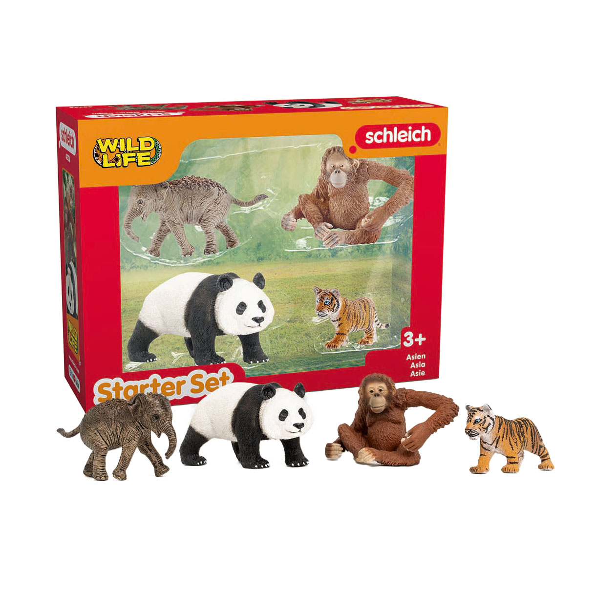 Schleich WILD LIFE Asien Starterset 42736