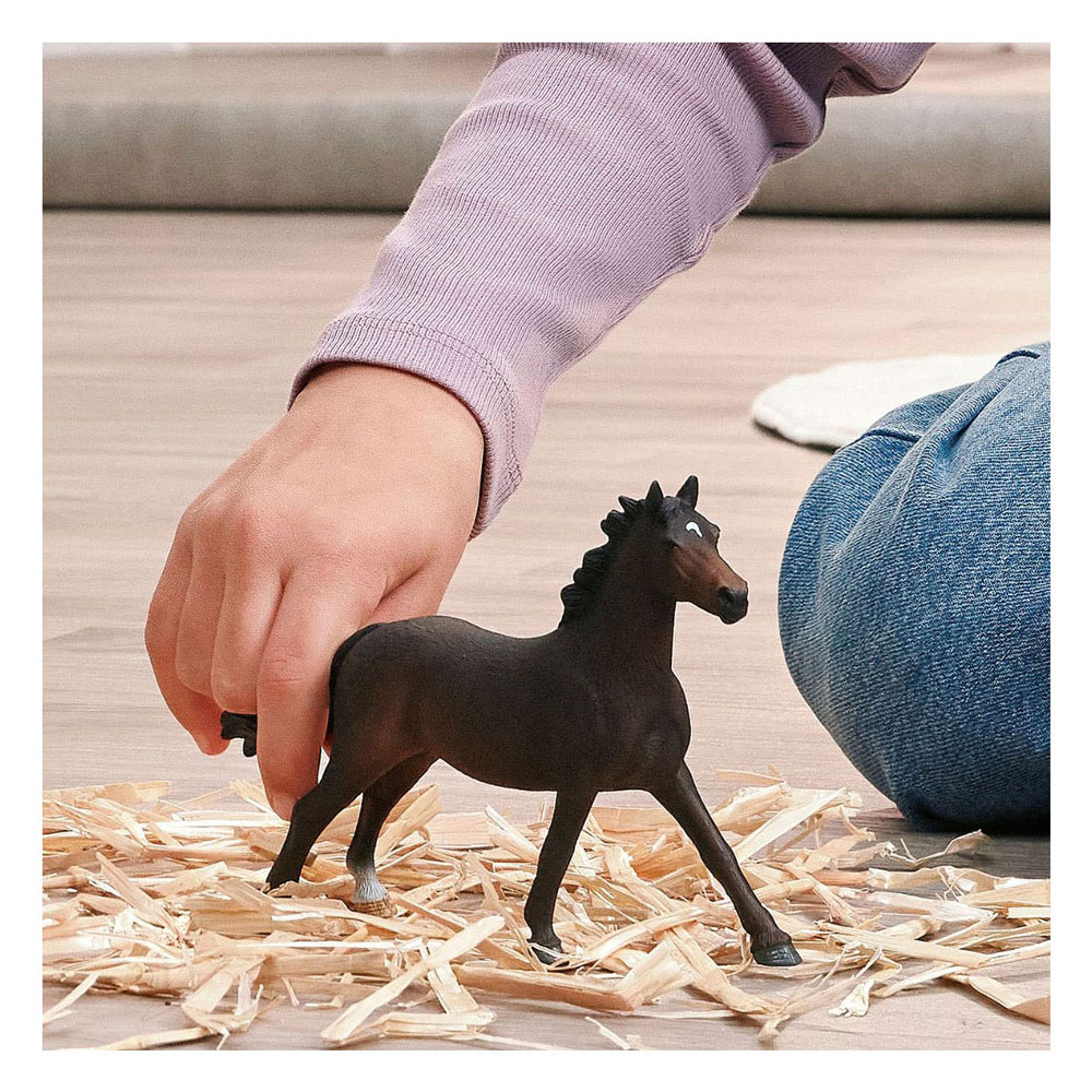 Schleich Horse Club Jument Pur-sang Anglaise 14914
