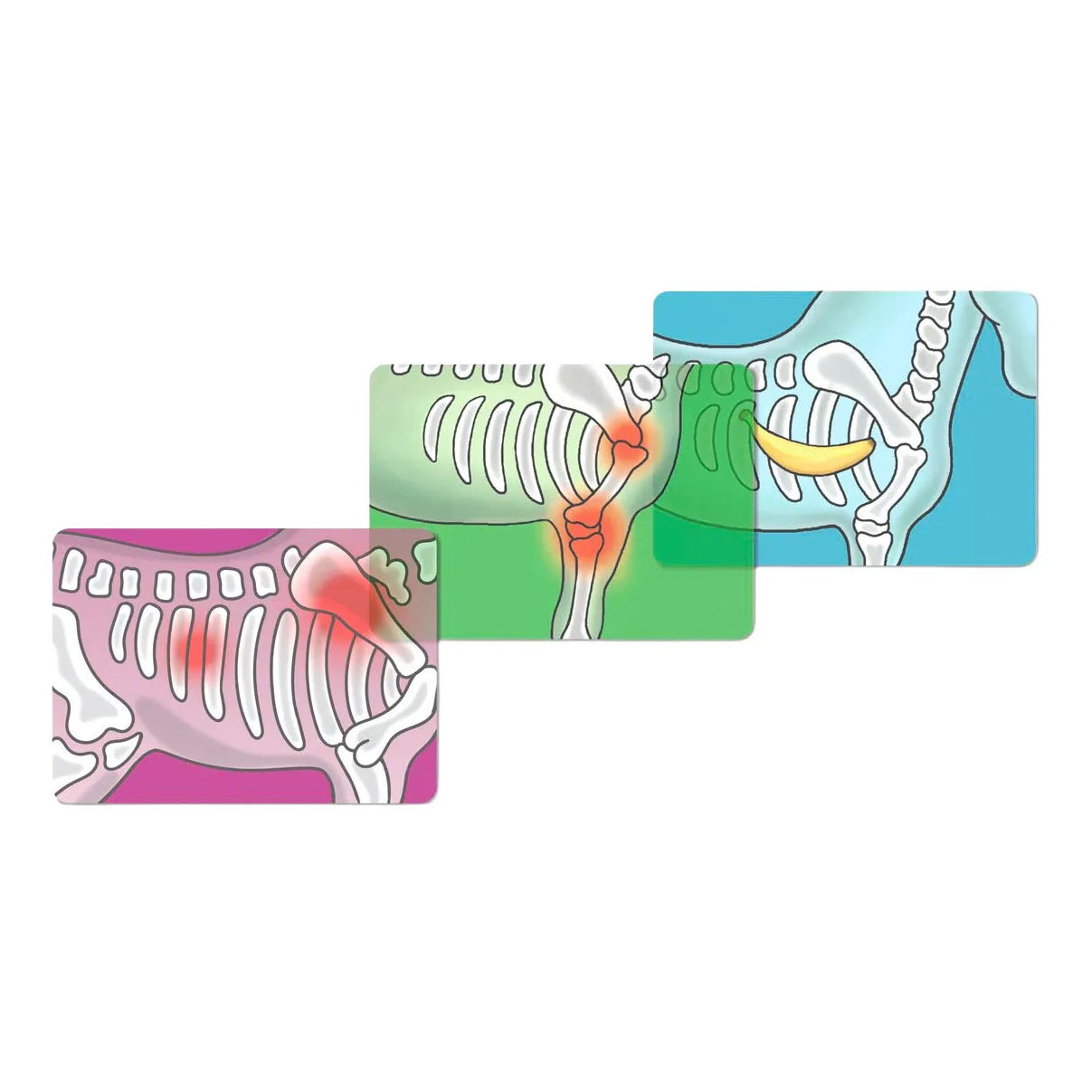 schleich HORSE CLUB Paardenkliniek 42787