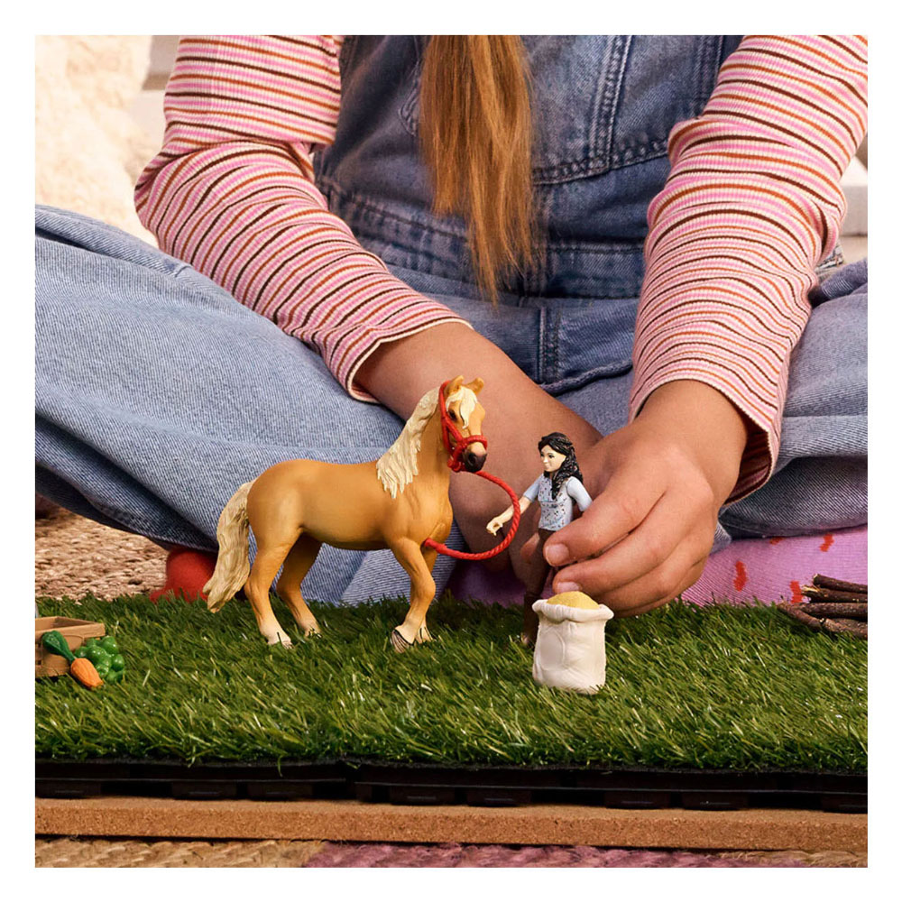 schleich HORSE CLUB Emliy's Verzorgingsset 42797