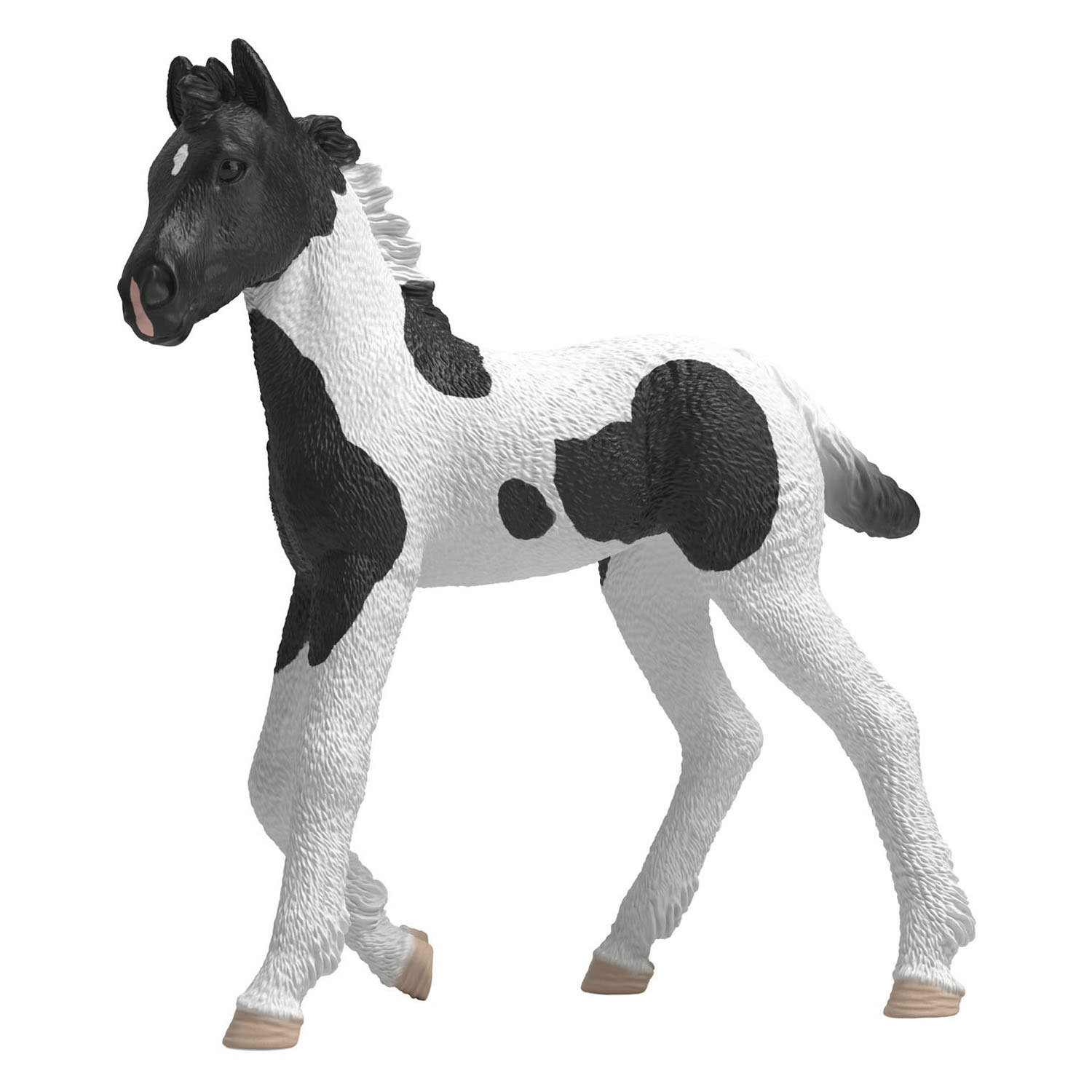 schleich HORSE CLUB Verzamelbaar Veulen Rocky 81481