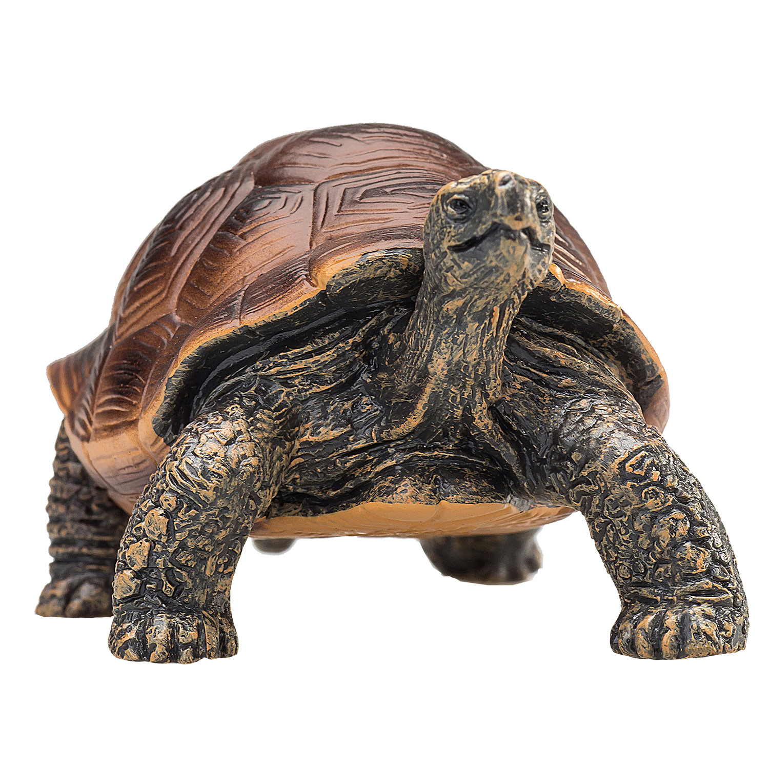 Tortue géante Mojo Wildlife - 387259