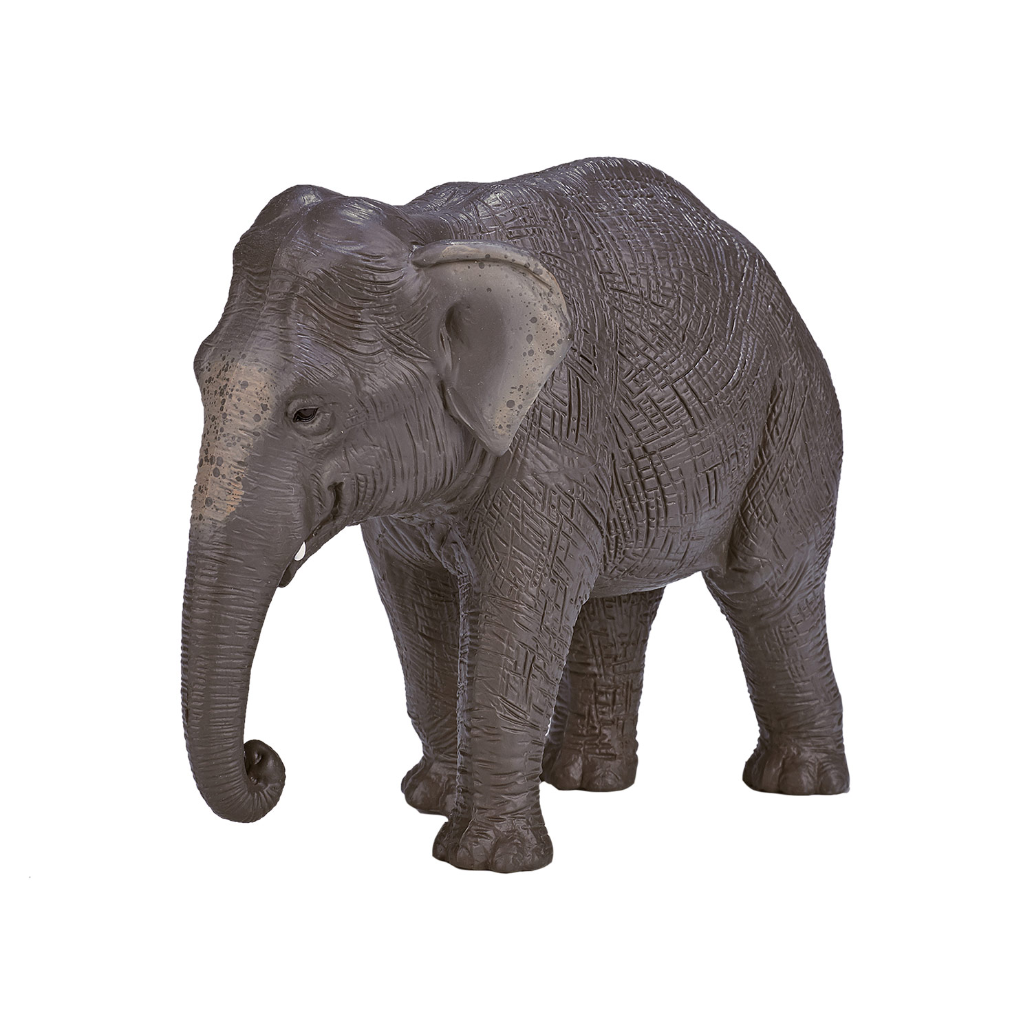 Mojo Wildlife Éléphant d'Asie - 387266