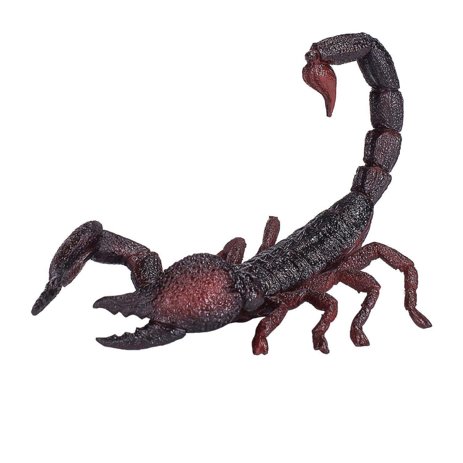Mojo Wildlife Imperator-Skorpion - 387133