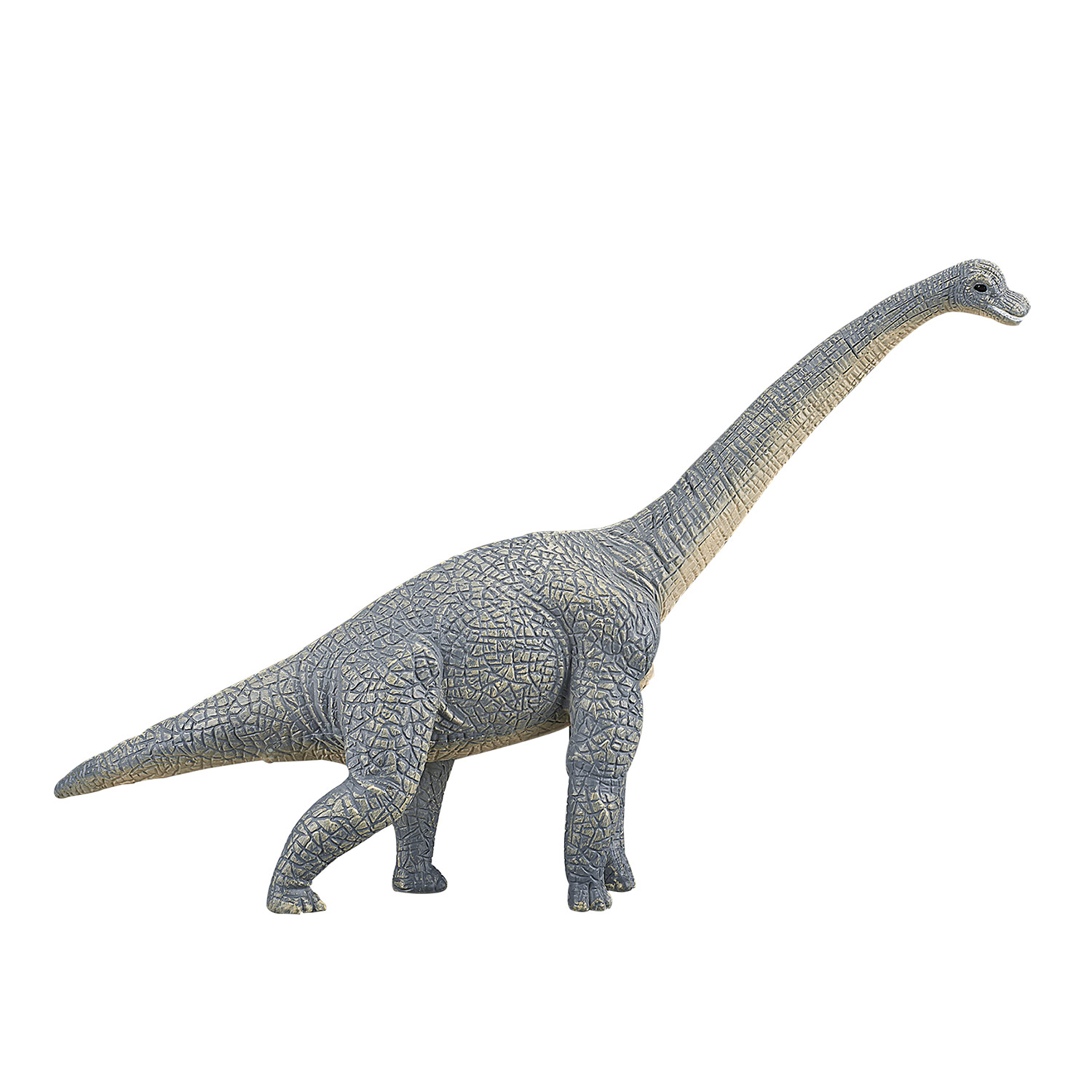 Mojo Préhistoire Brachiosaure - 387044