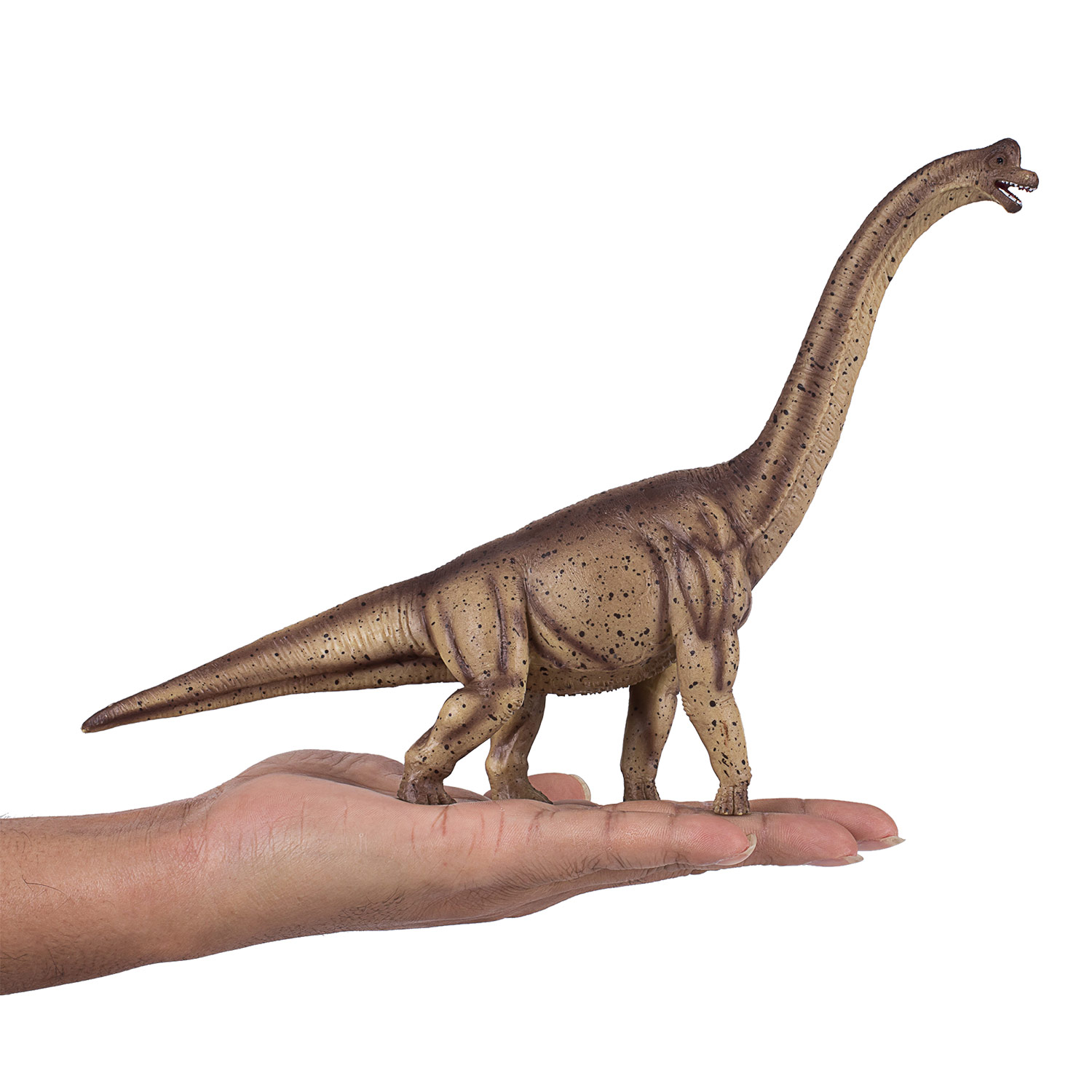 Mojo Vorgeschichte Deluxe Brachiosaurus - 387381
