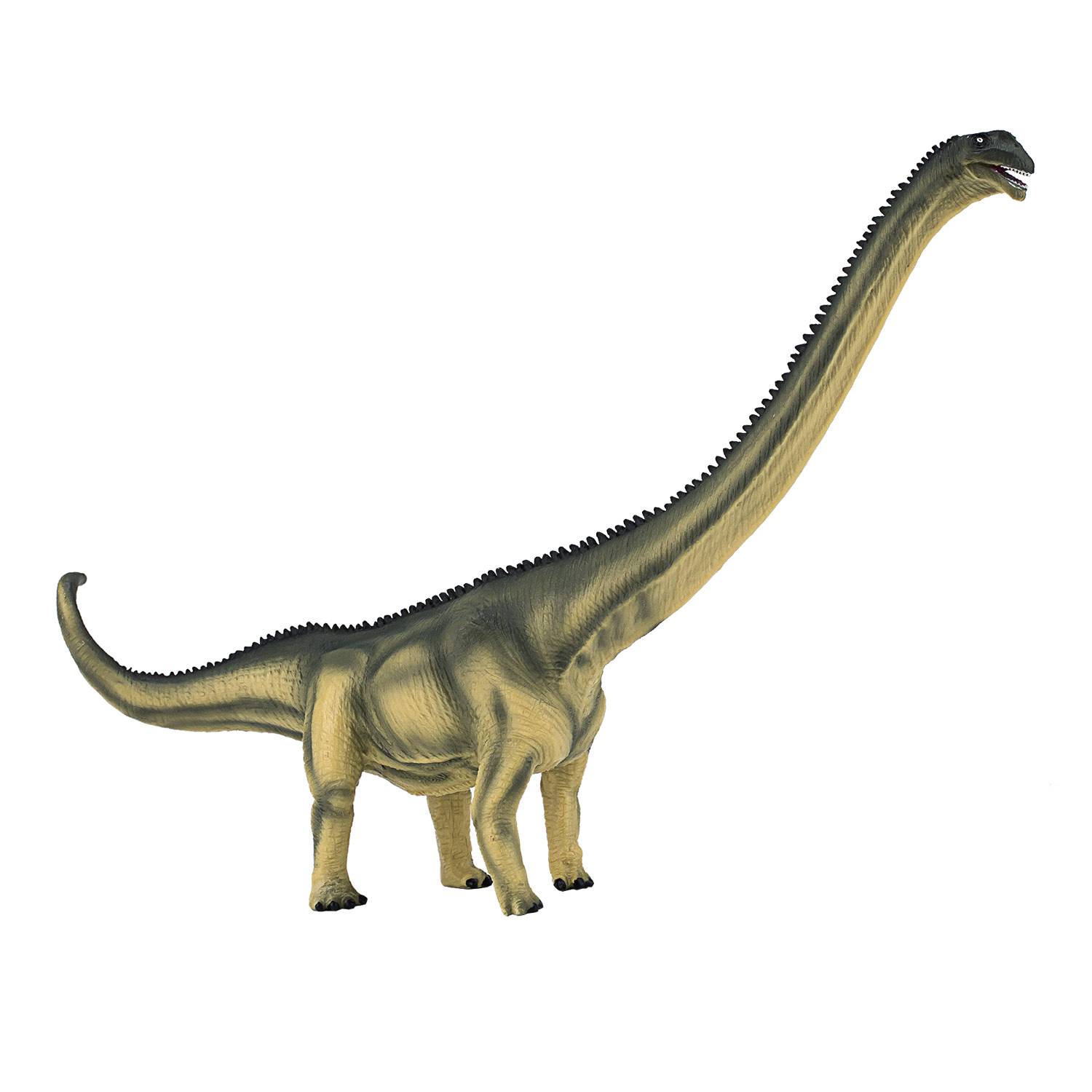 Mojo Préhistoire Deluxe Mamenchisaurus - 387387