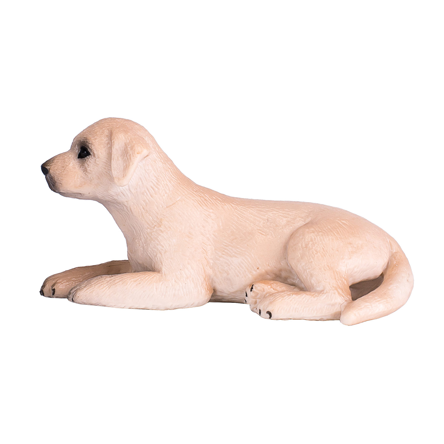 Mojo Farmland Labrador Puppy - 387272