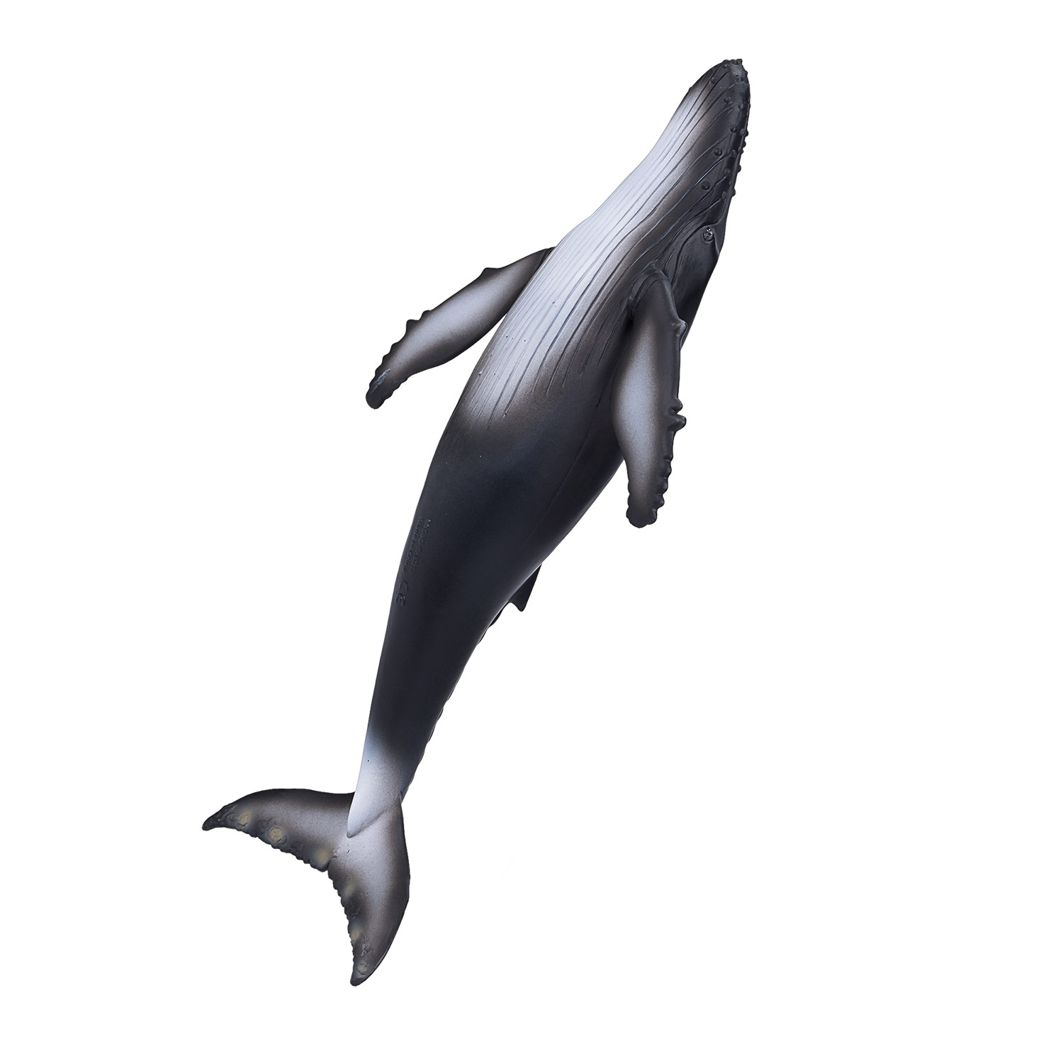 Baleine à bosse Mojo Sealife - 387119