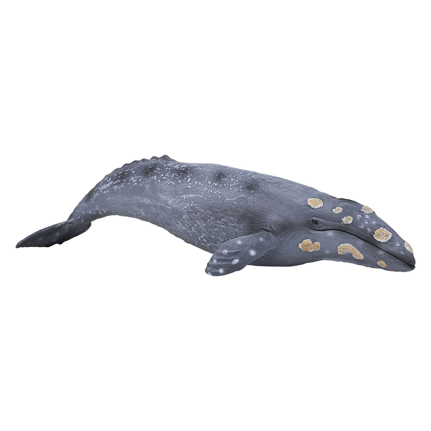 Mojo Sealife - Baleine grise 387280