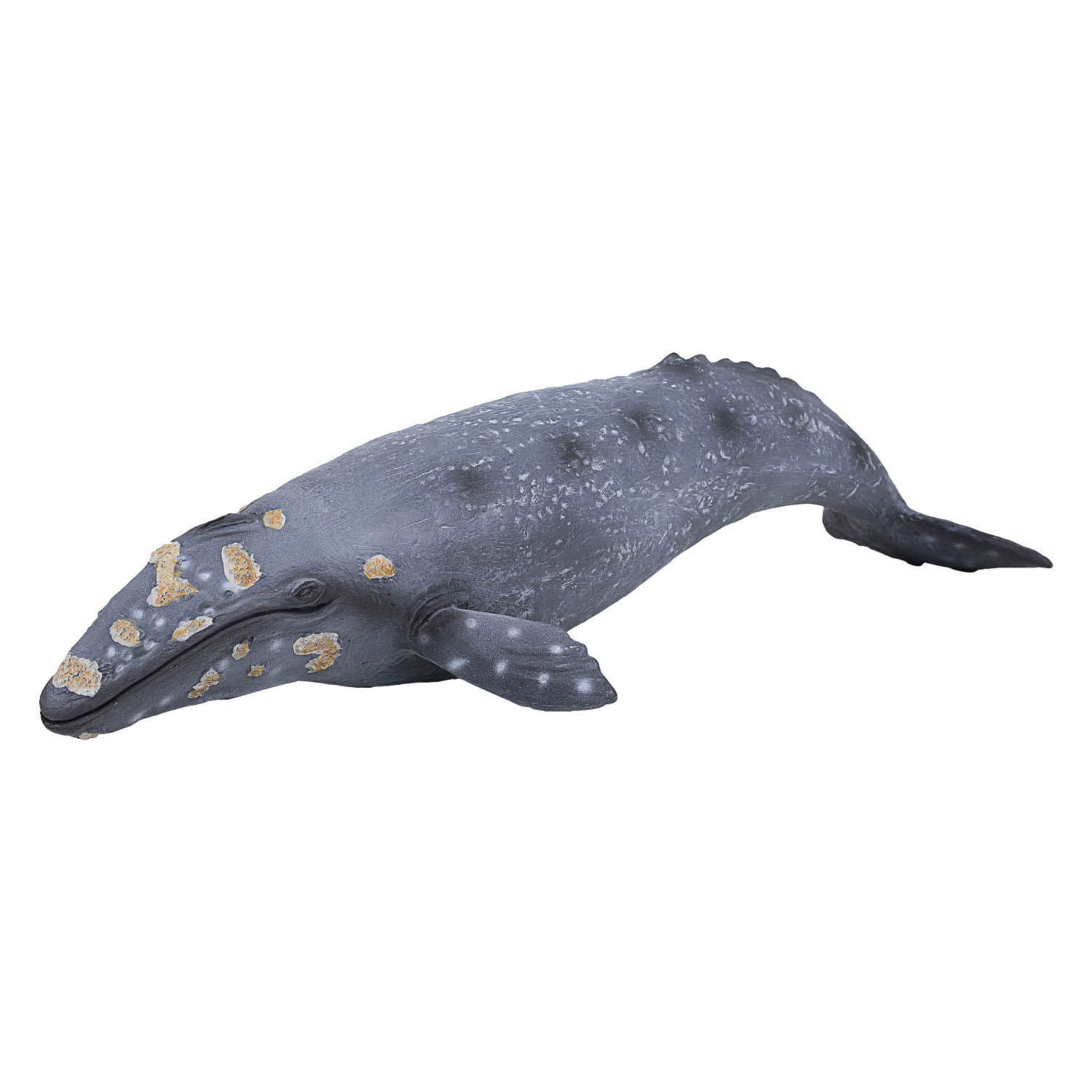 Mojo Sealife - Baleine grise 387280
