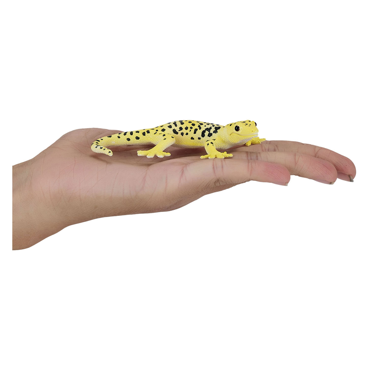 Mojo Wildlife Luipaard Gecko  - 381077