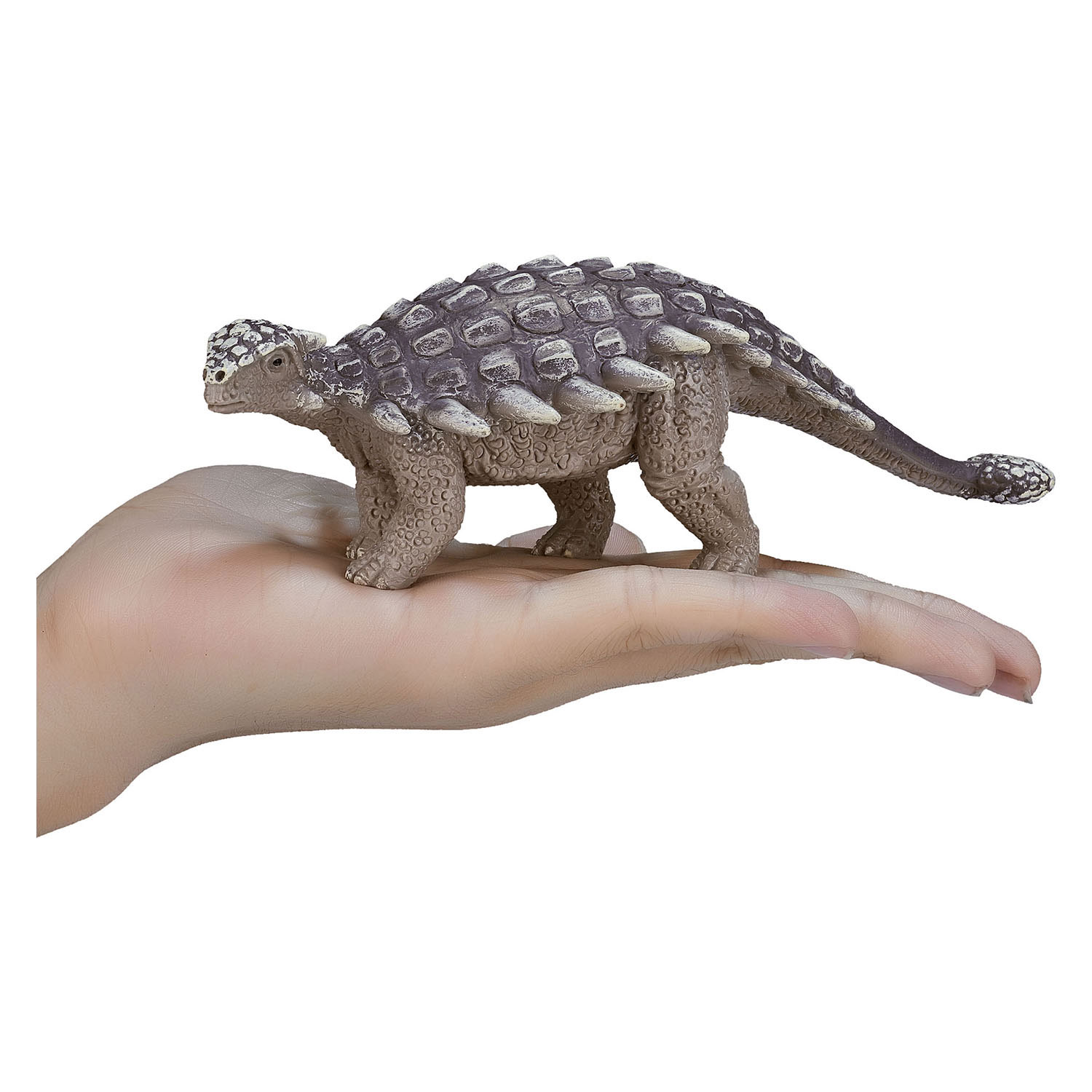 Mojo Prehistorie Ankylosaurus - 387234