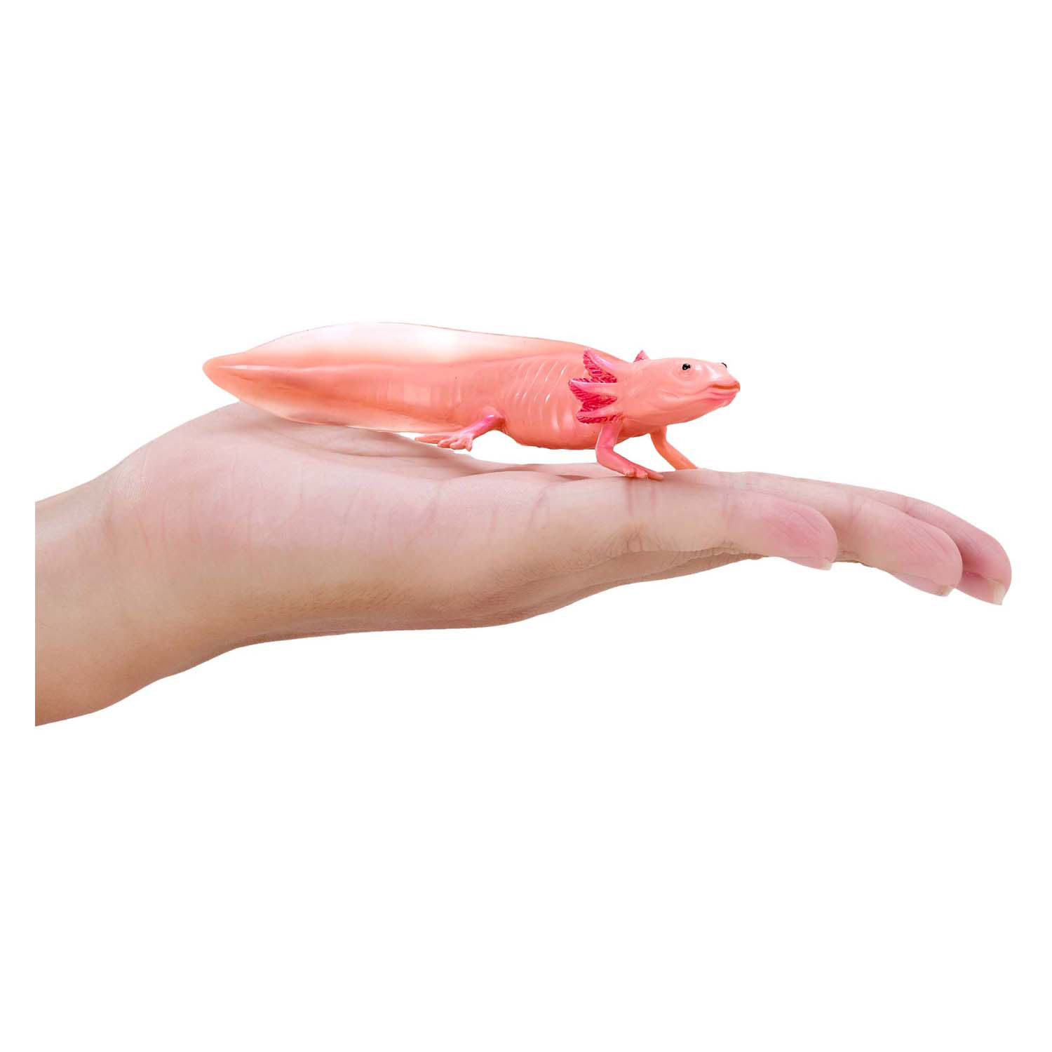 Mojo Wildlife Axolotl 381108