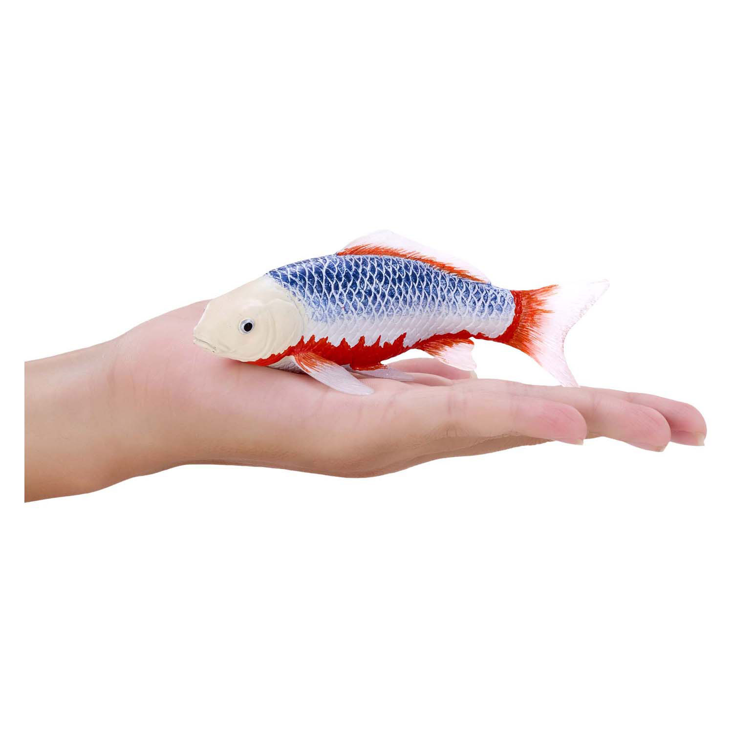 Mojo Sealife Koi Karper - Asagi Koi - 381100
