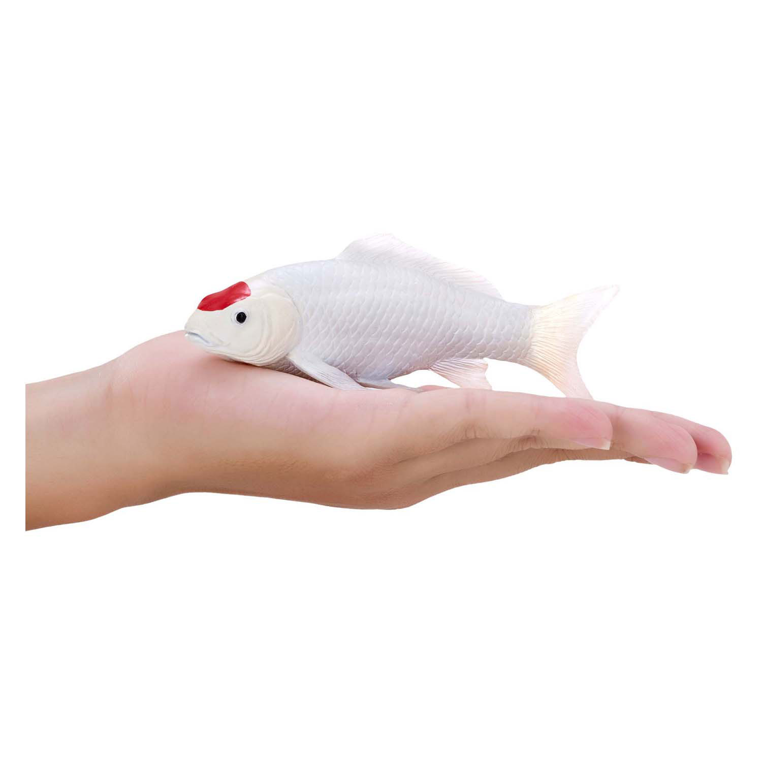 Mojo Sealife Koi Karper - Tancho Koi  - 381101