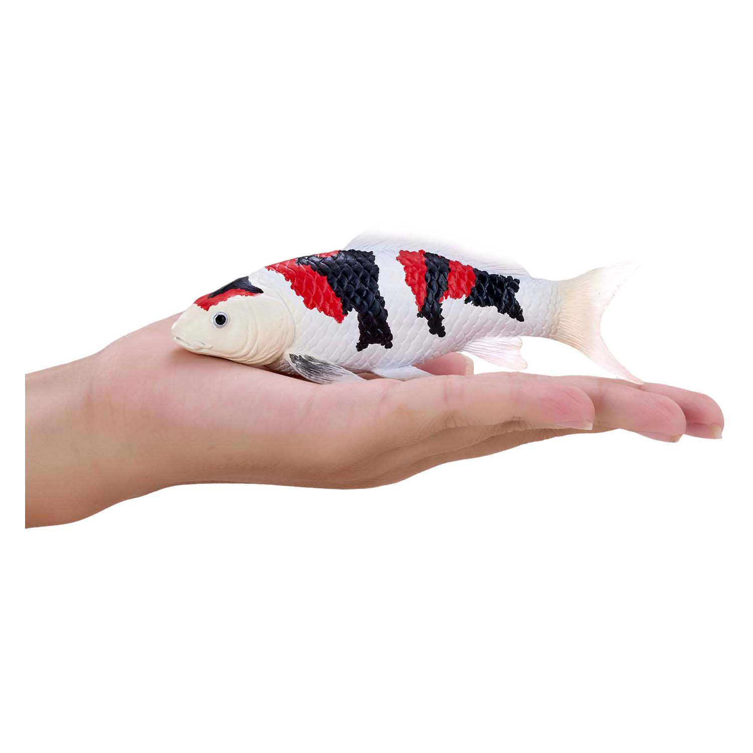 Mojo Sealife Koi Karper - Showa Sanshoku Koi - 381103