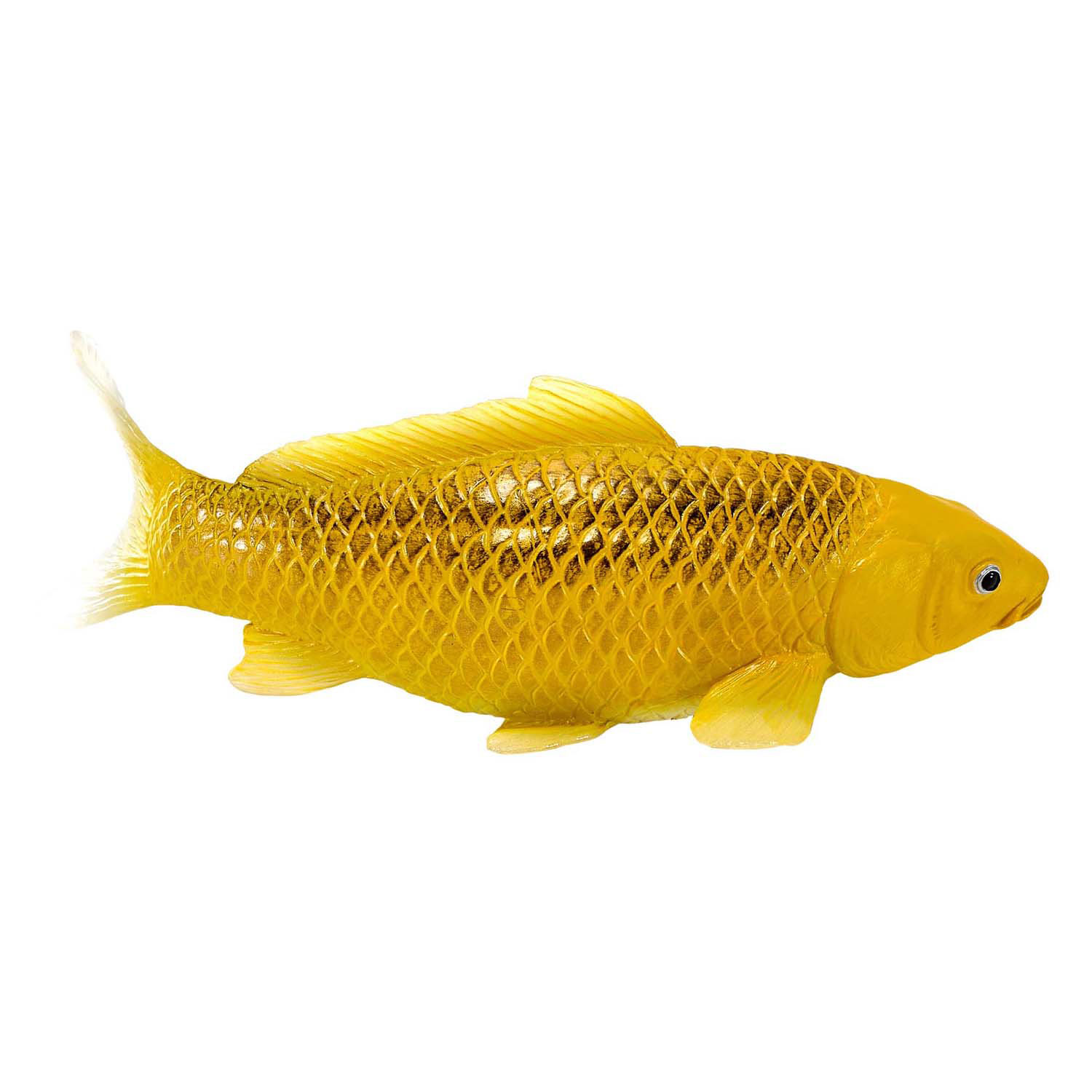 Mojo Sealife Koi Karper - Kin Matsuba Koi - 381105