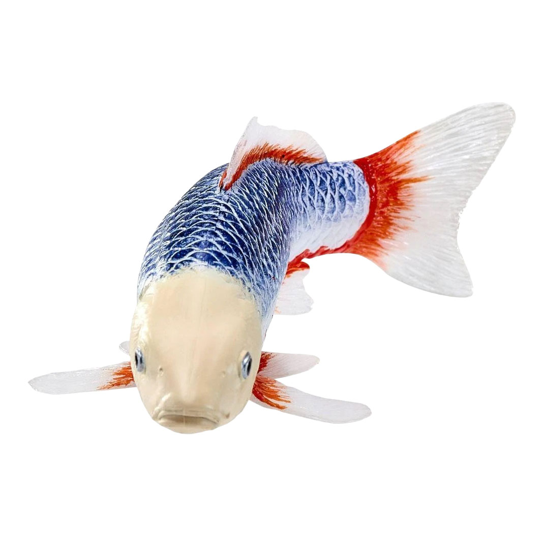 Mojo Koi Collection - Asagi Koi Blauw Rood 381118