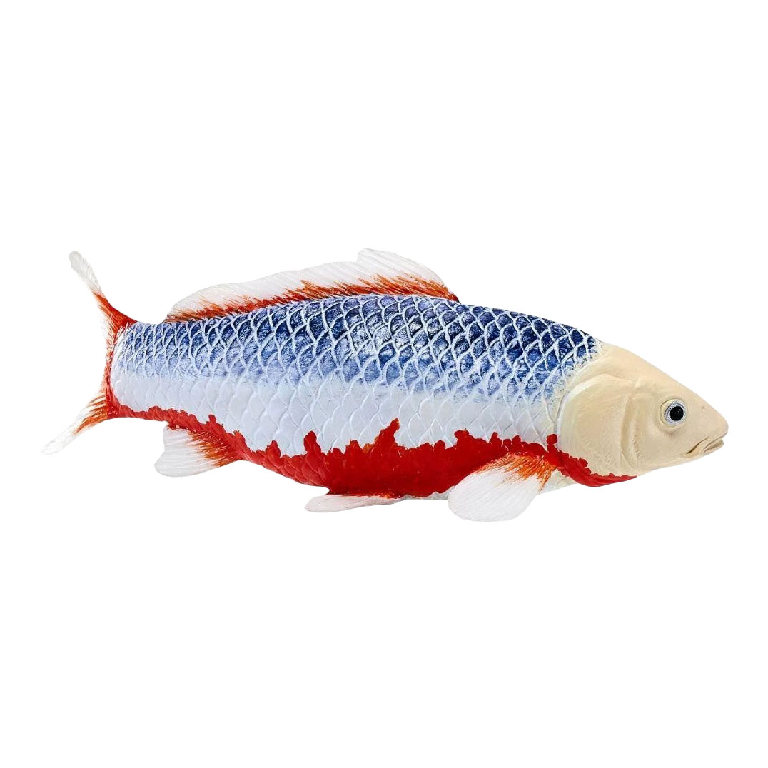 Mojo Koi Collection - Asagi Koi Blauw Rood 381118