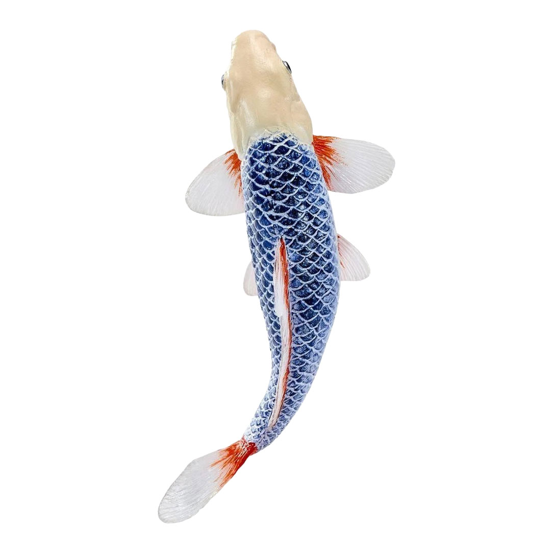 Mojo Koi Collection - Asagi Koi Blauw Rood 381118