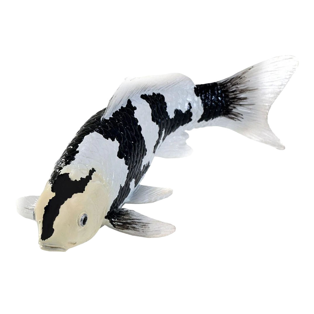 Mojo Koi Collection - Shiro Utsuri Koi Zwart Wit 381120