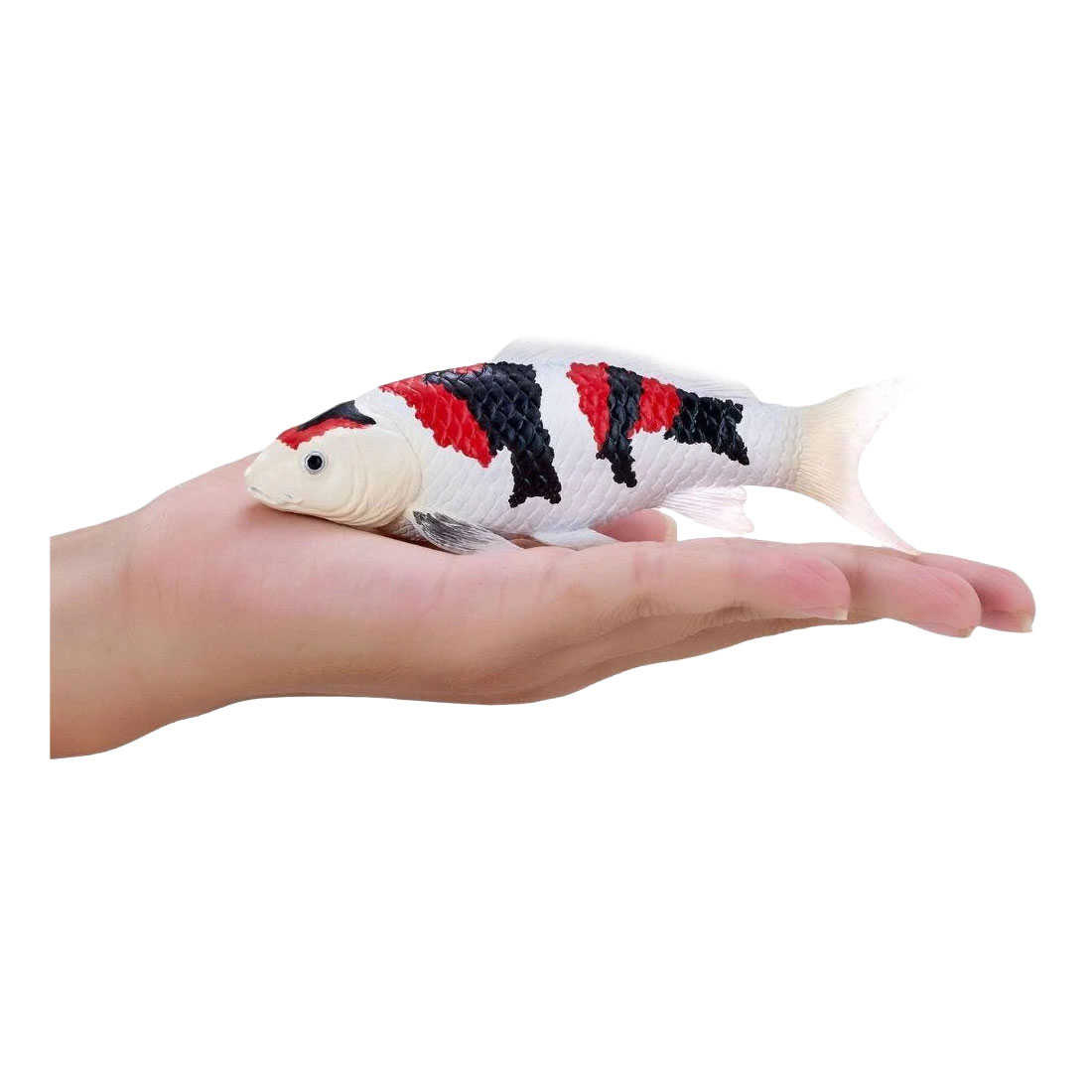Mojo Koi Collection - Showa Sanshoku Koi Driekleurig 381121