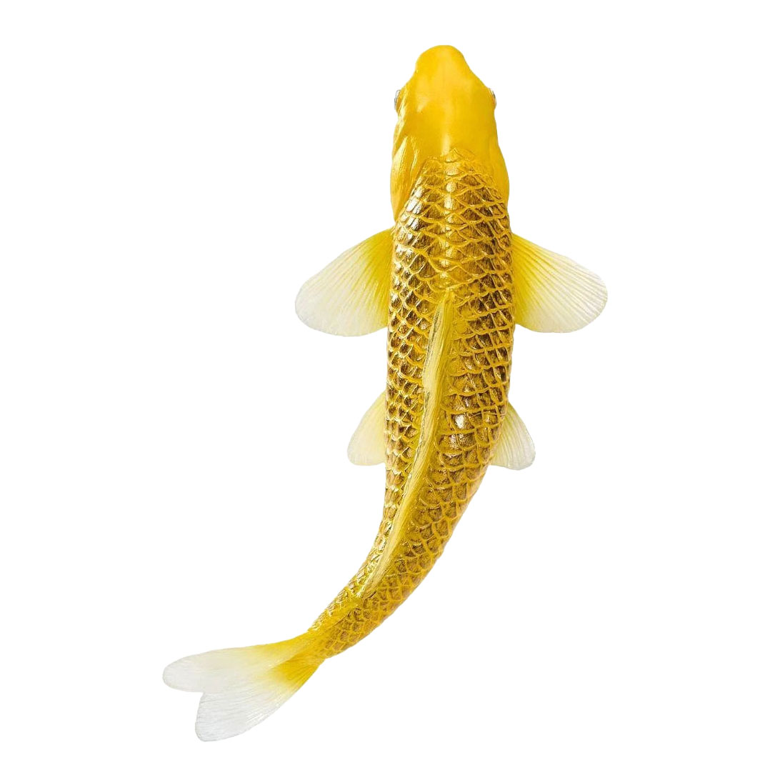 Mojo Koi Collection - Kin Matsuba Koi Goud 381123