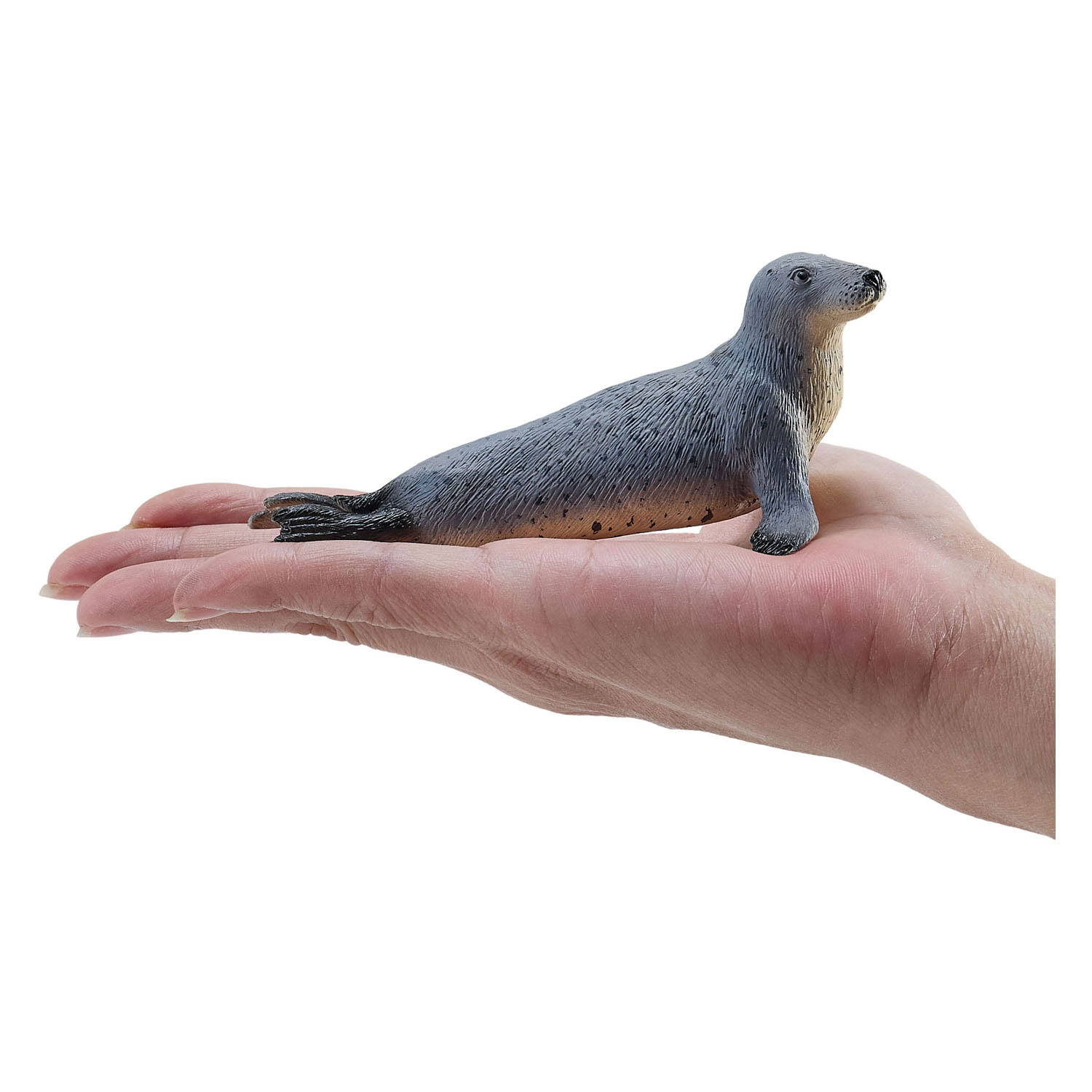 Mojo Grijze Zeehond - 381134