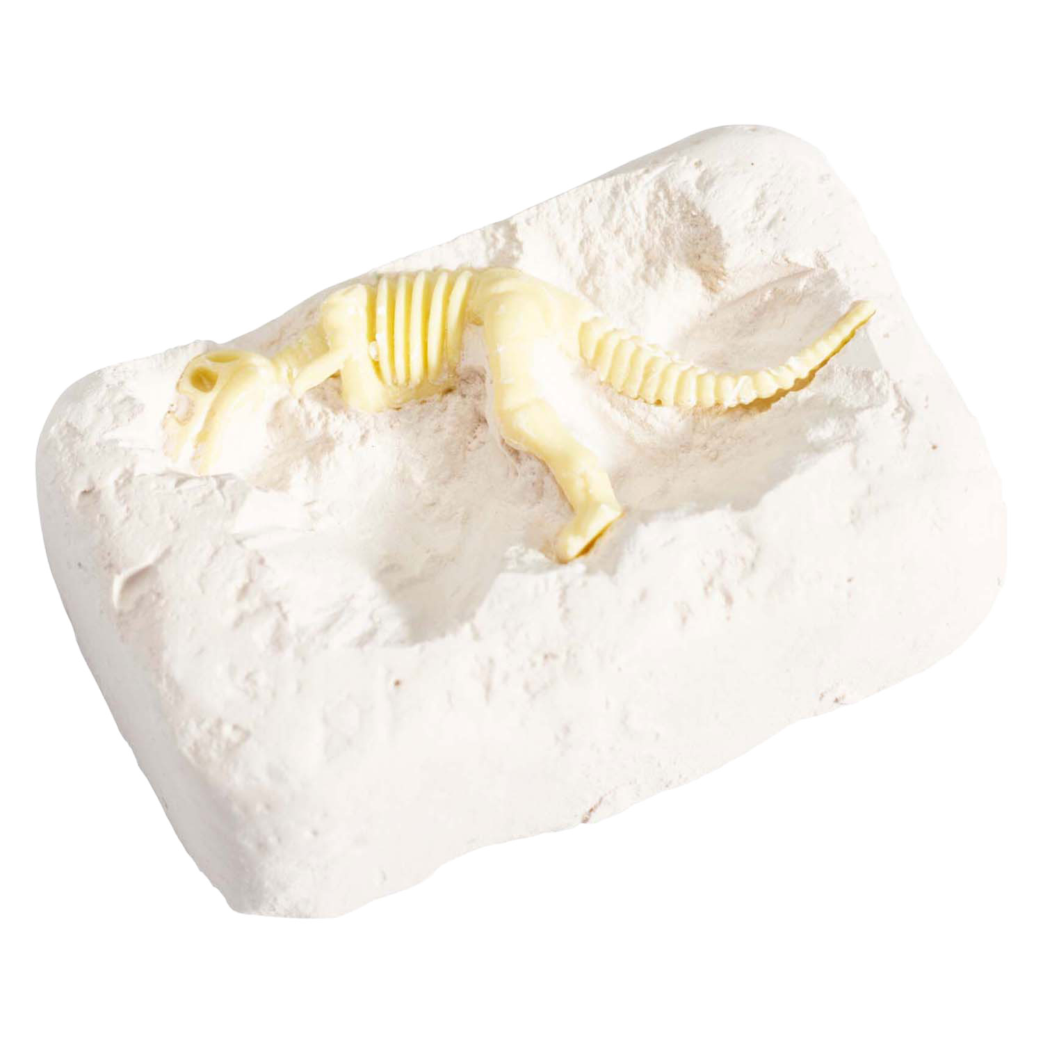 Uitgraafset Dinosaurus