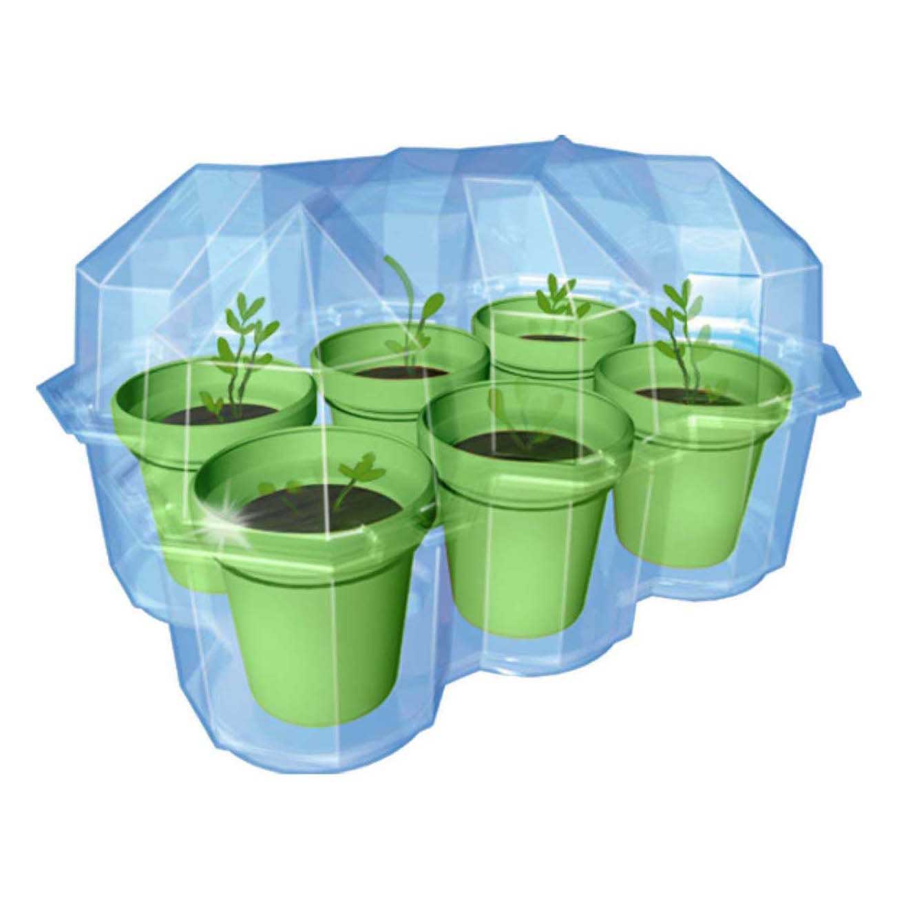 Ensemble de jeu de jardin Kosmos Mimosa