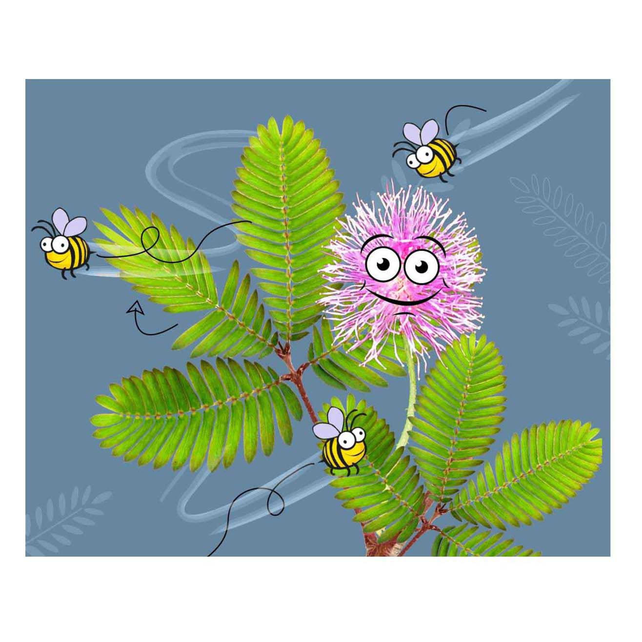 Ensemble de jeu de jardin Kosmos Mimosa