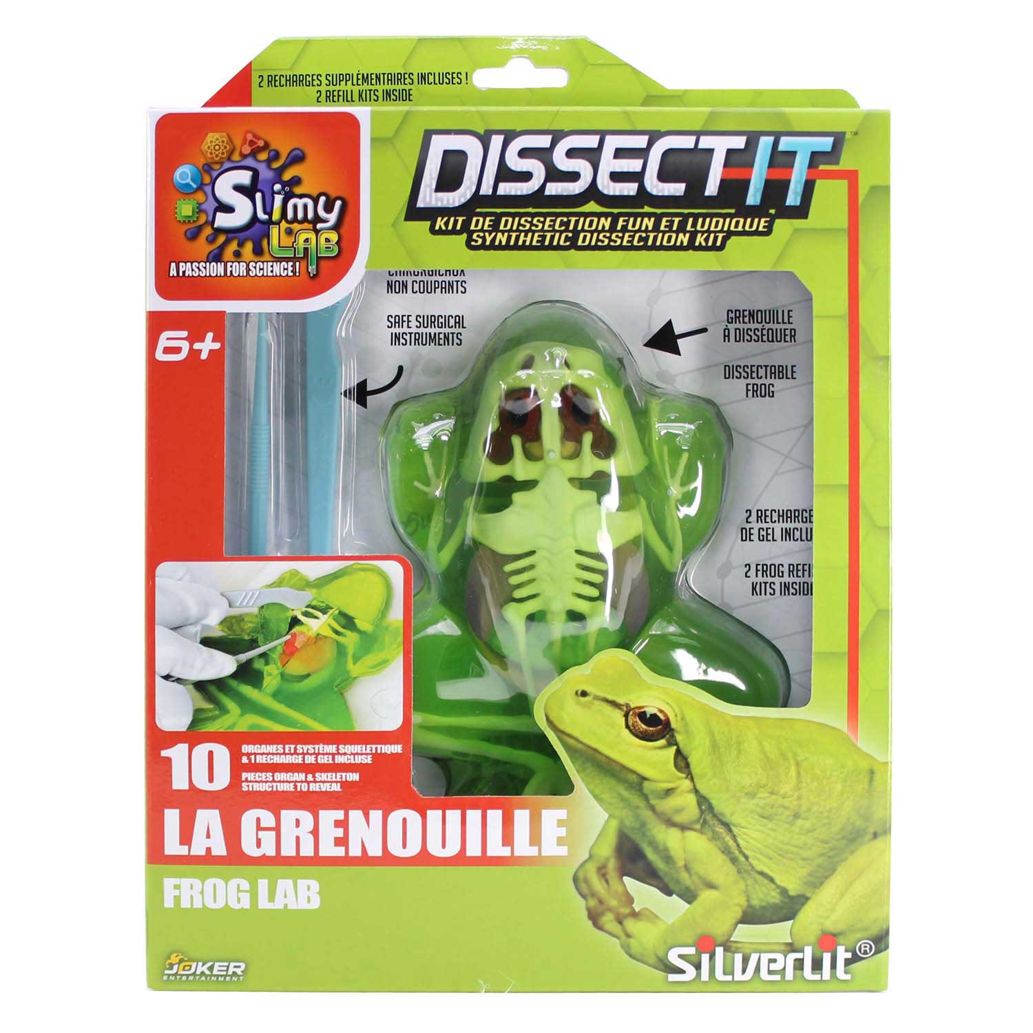 Laboratoire gluant - DISSECTE-TOI - Dissecte une grenouille