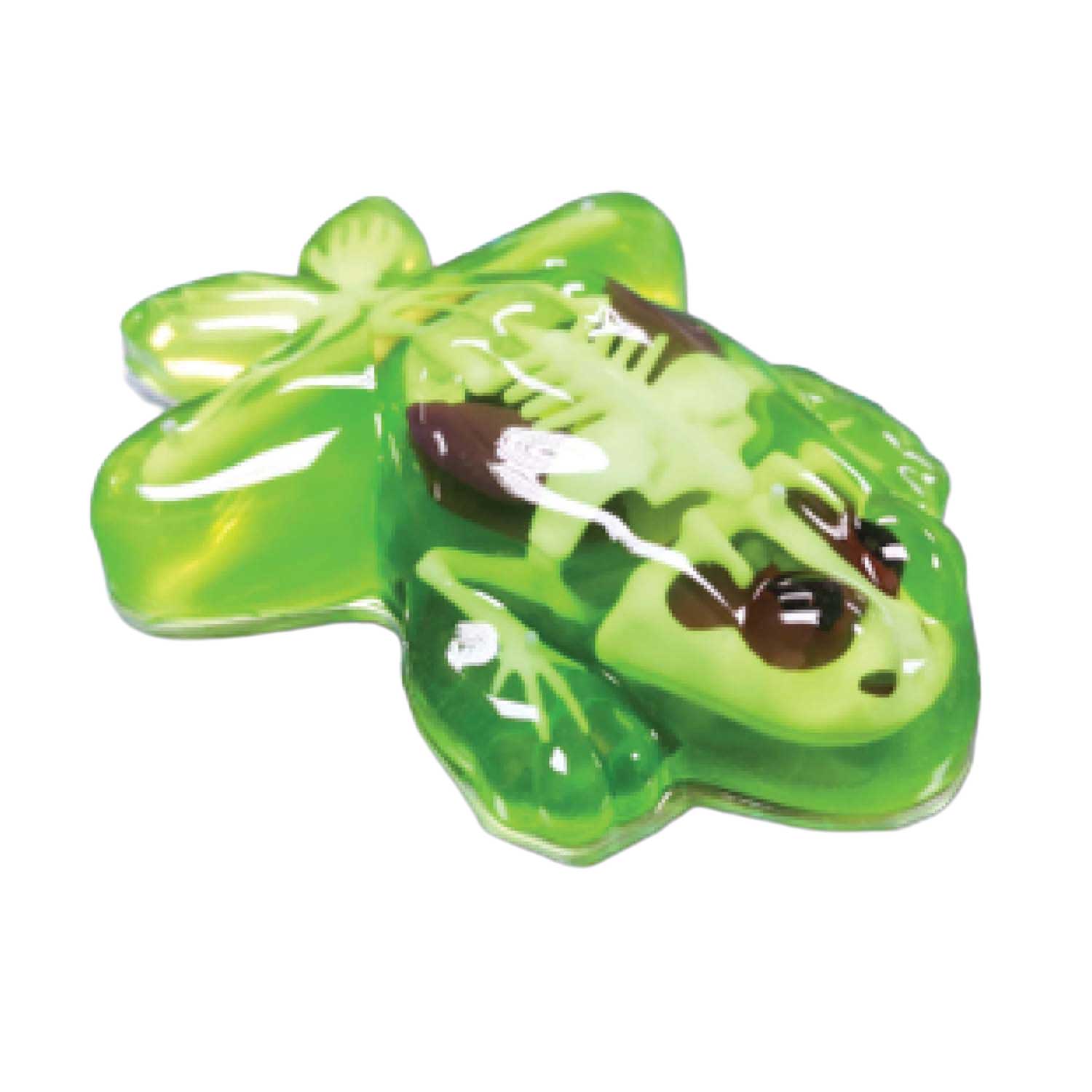 Laboratoire gluant - DISSECTE-TOI - Dissecte une grenouille