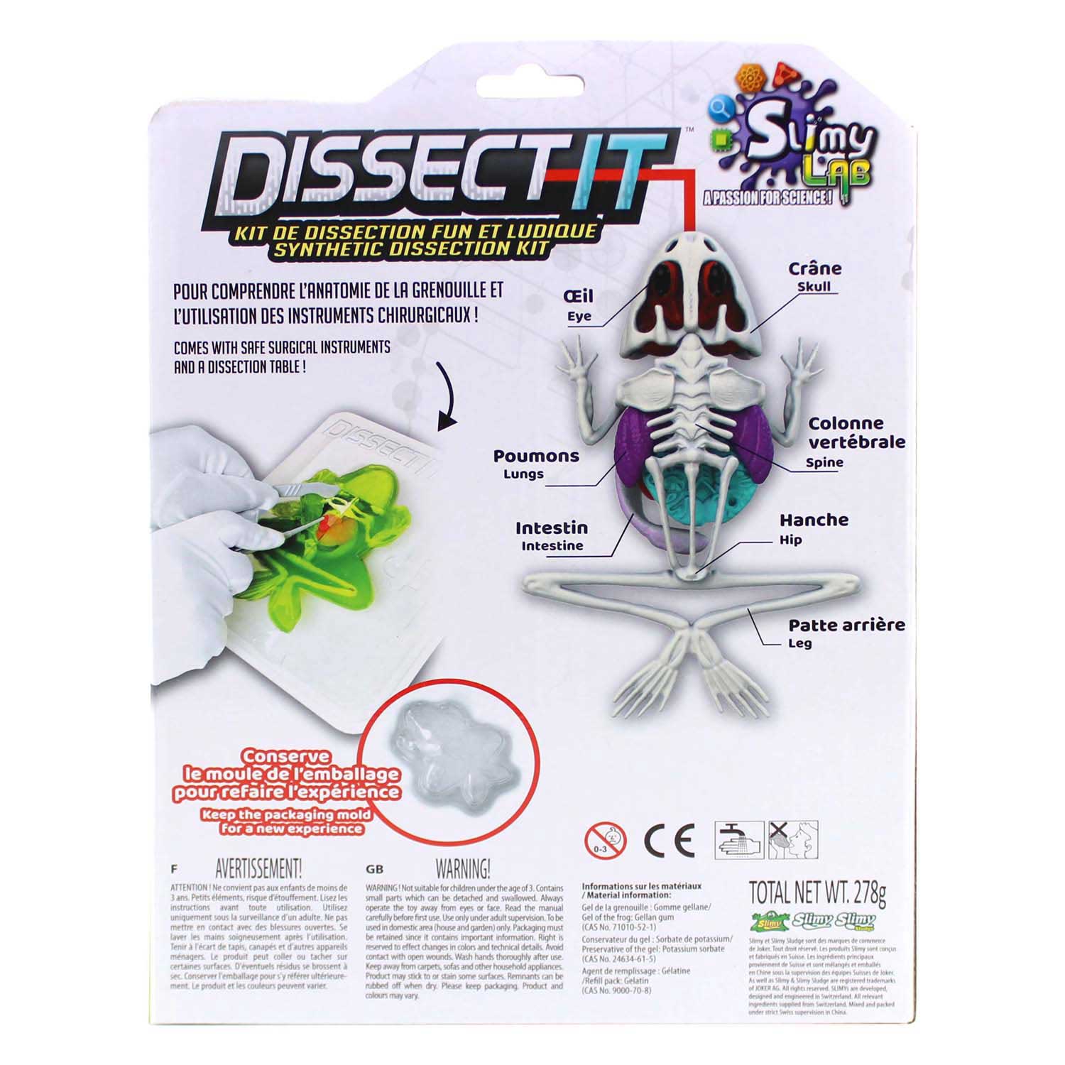 Laboratoire gluant - DISSECTE-TOI - Dissecte une grenouille