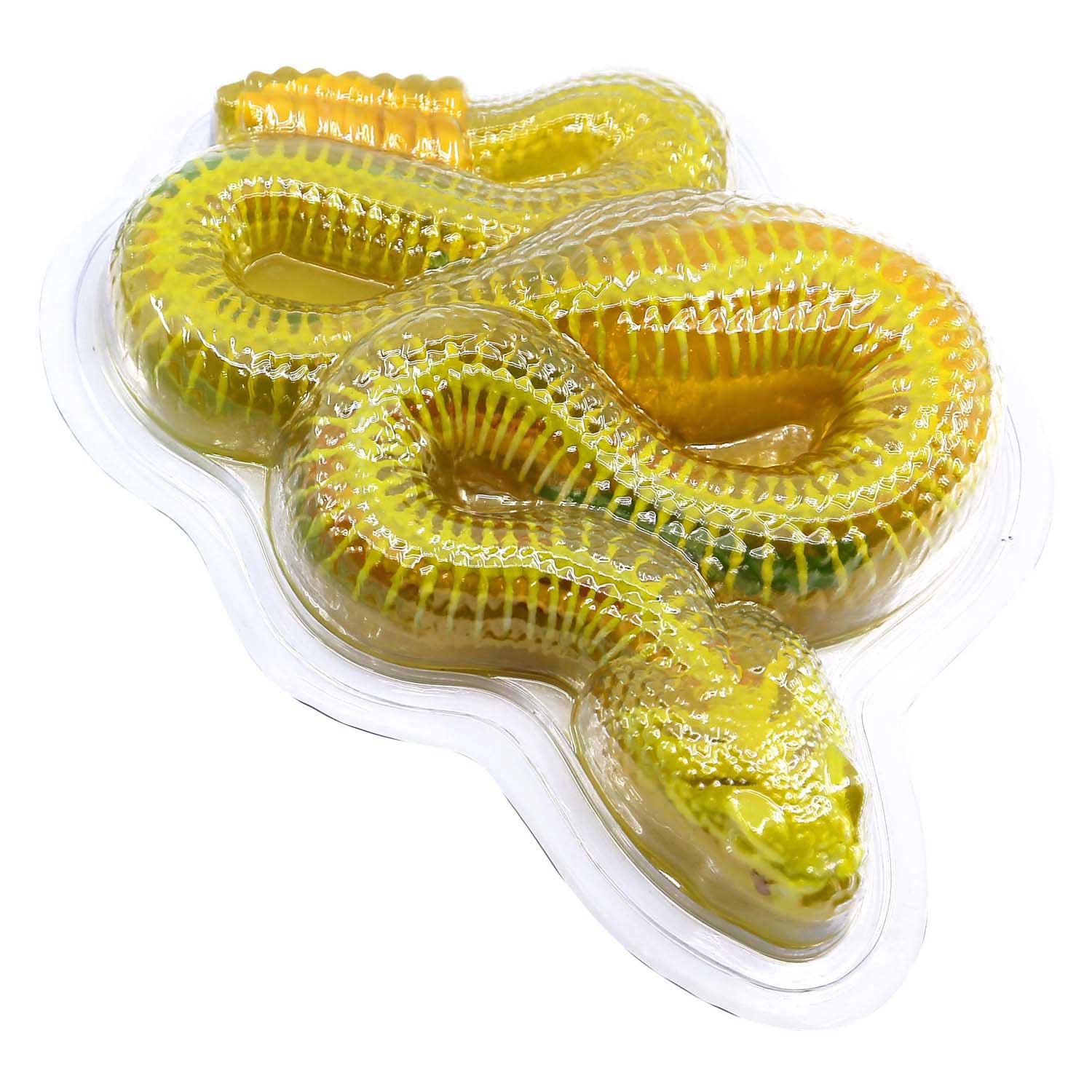 DISSECT-IT Seziere eine Klapperschlange Mega-Geschenkbox