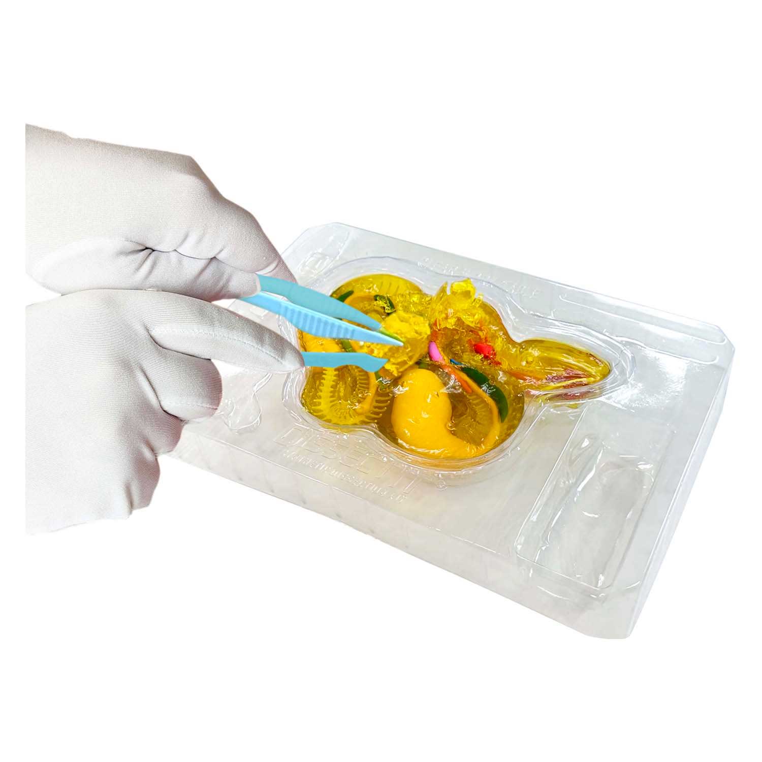 DISSECT-IT Seziere eine Klapperschlange Mega-Geschenkbox