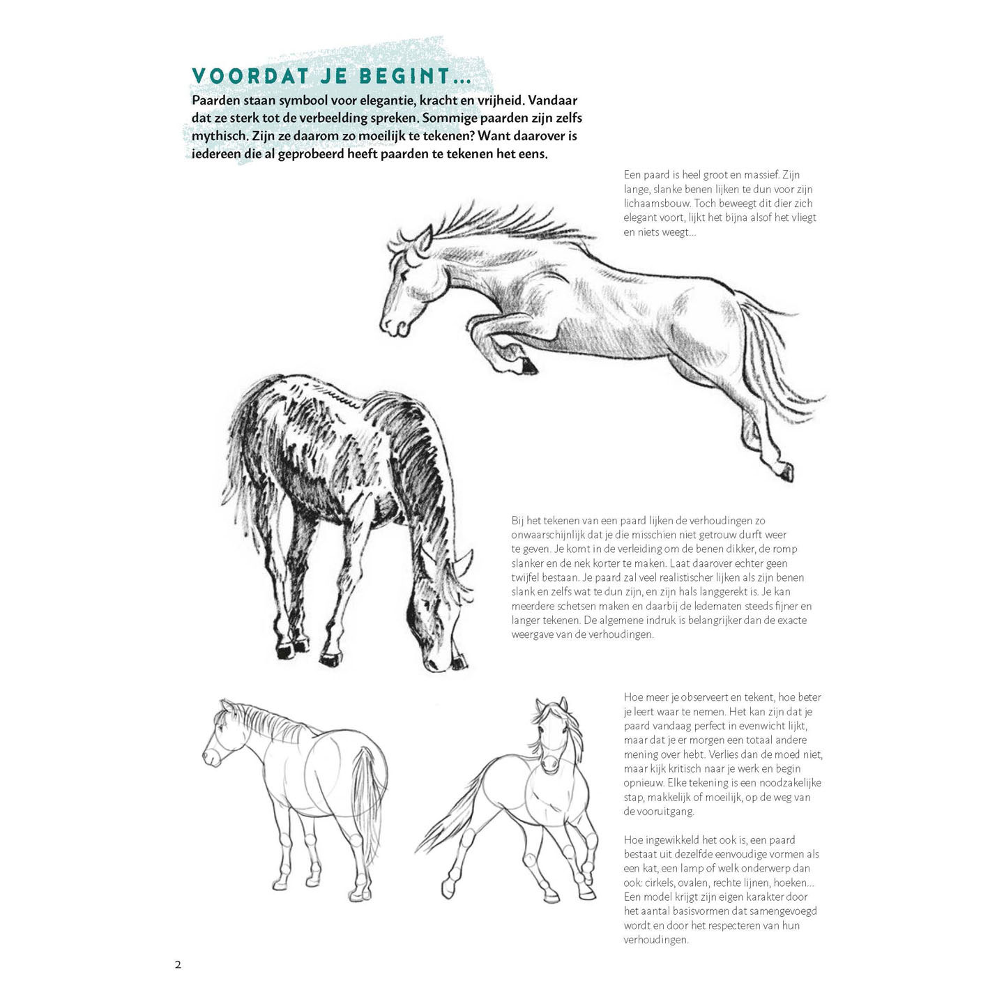 Apprenez à dessiner des chevaux étape par étape