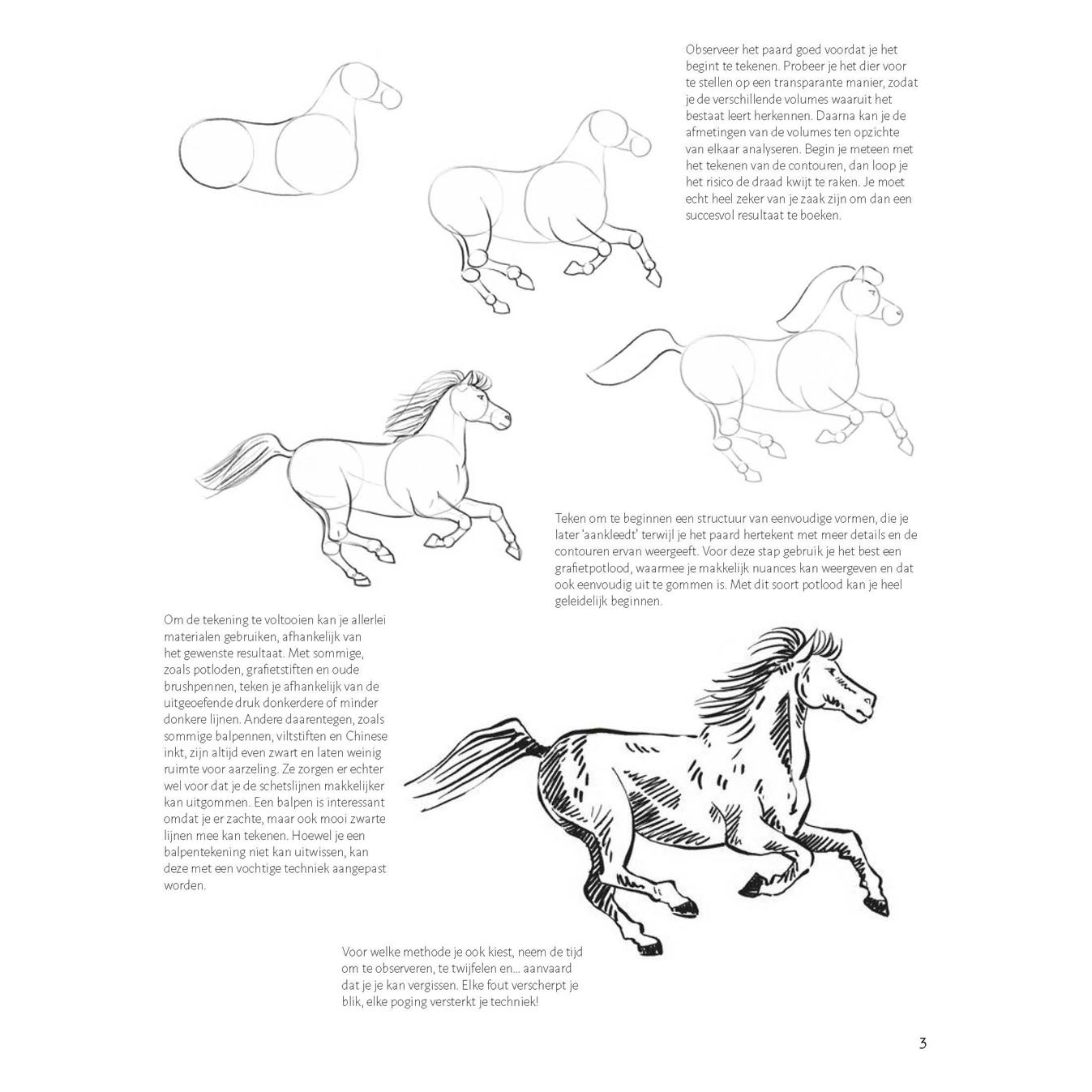 Lernen Sie Schritt für Schritt, Pferde zu zeichnen