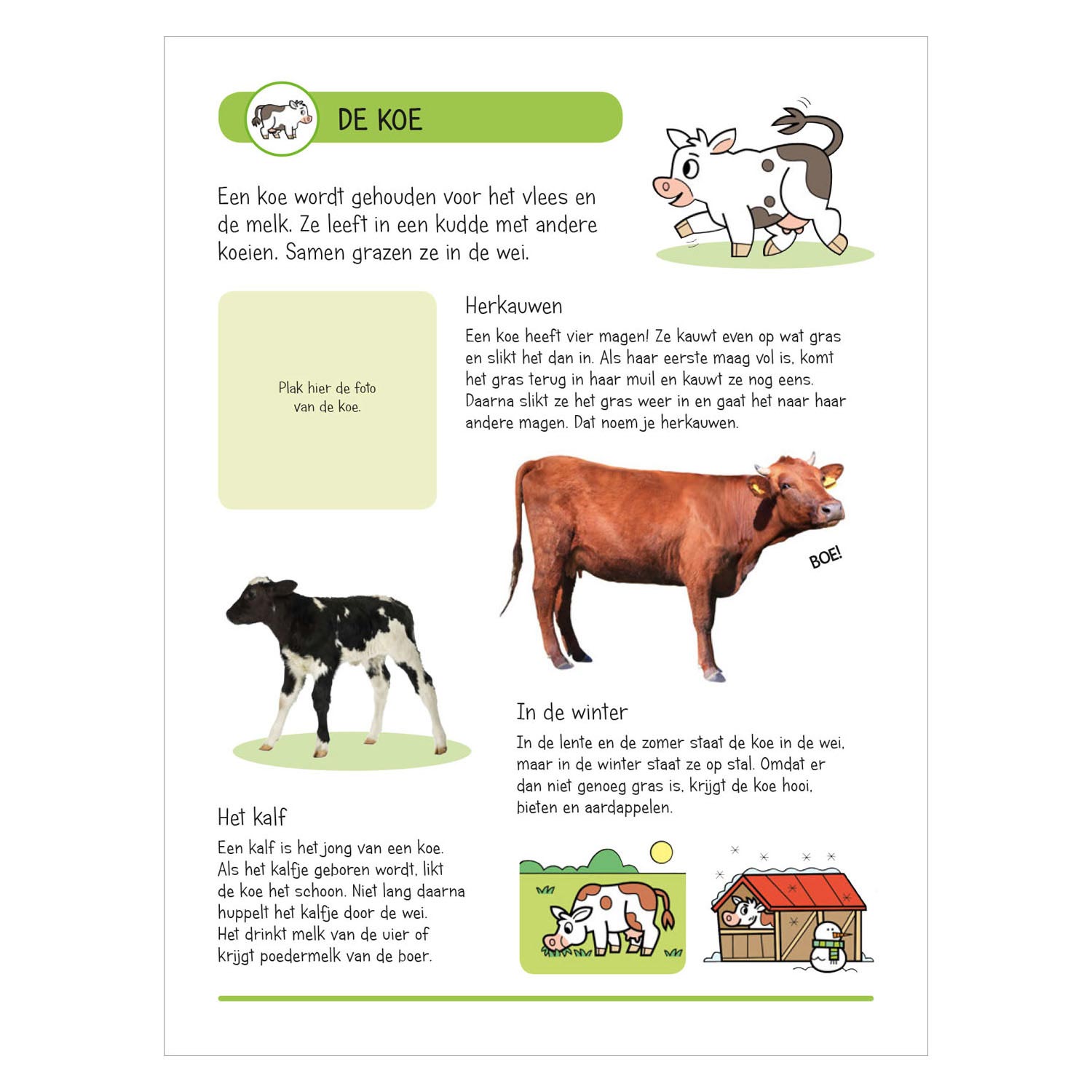 Stickerbuch - Tiere auf dem Bauernhof