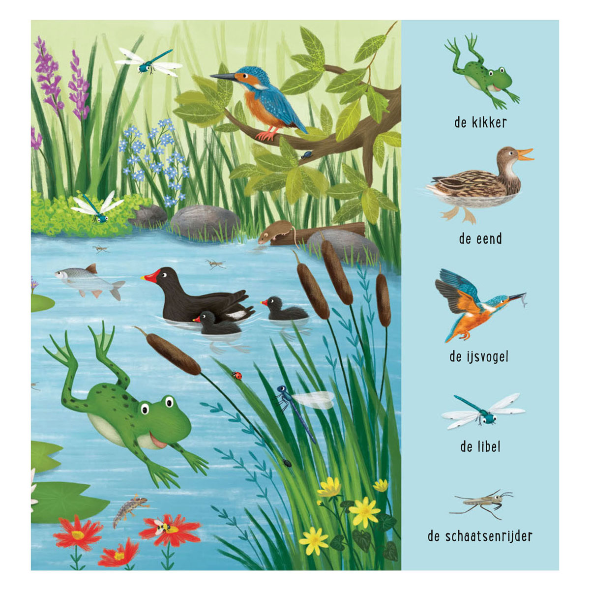 Mein erstes Suchbuch – Tiere am Wasser