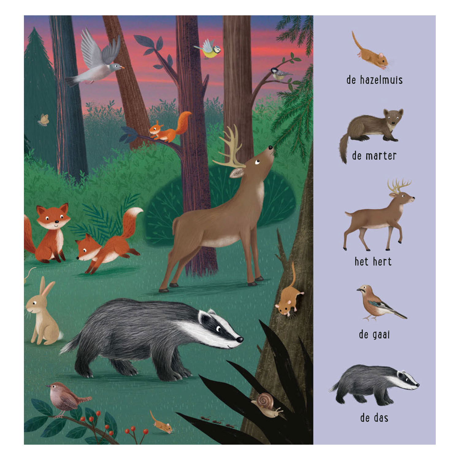 Mein erstes Suchbuch – Tiere aus aller Welt