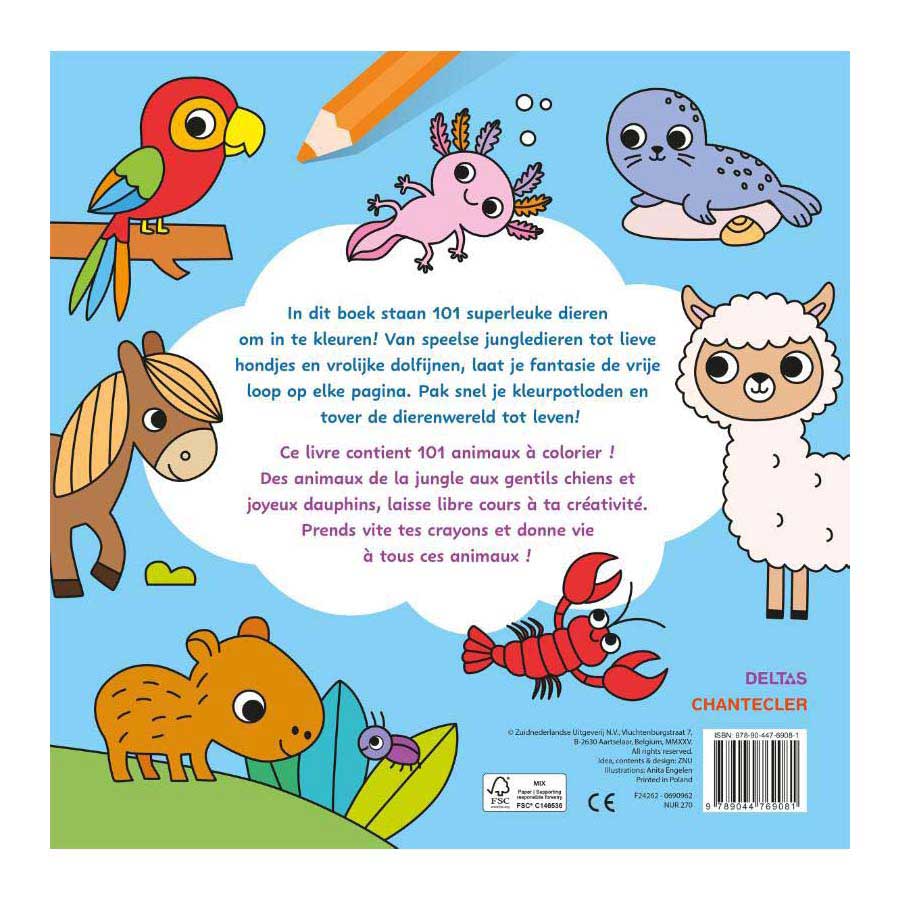 Maxi Color Fun 101 Animaux