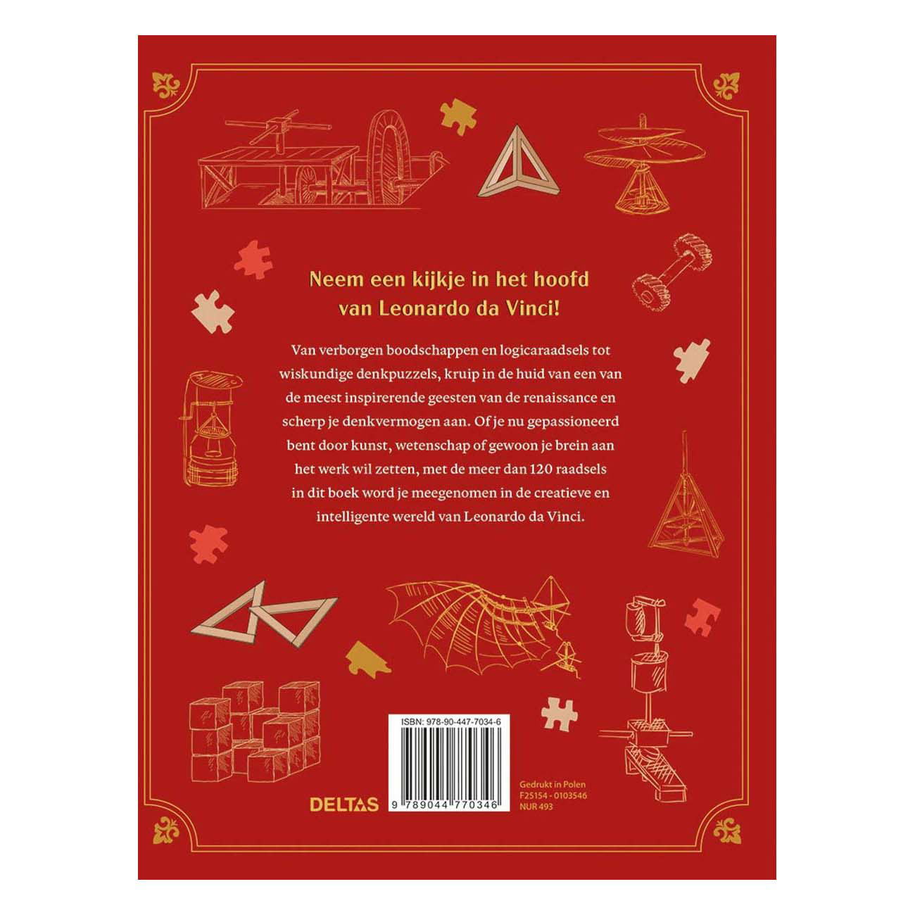 Uitdagende Breinbrekers & Raadsels van Leonardo da Vinci