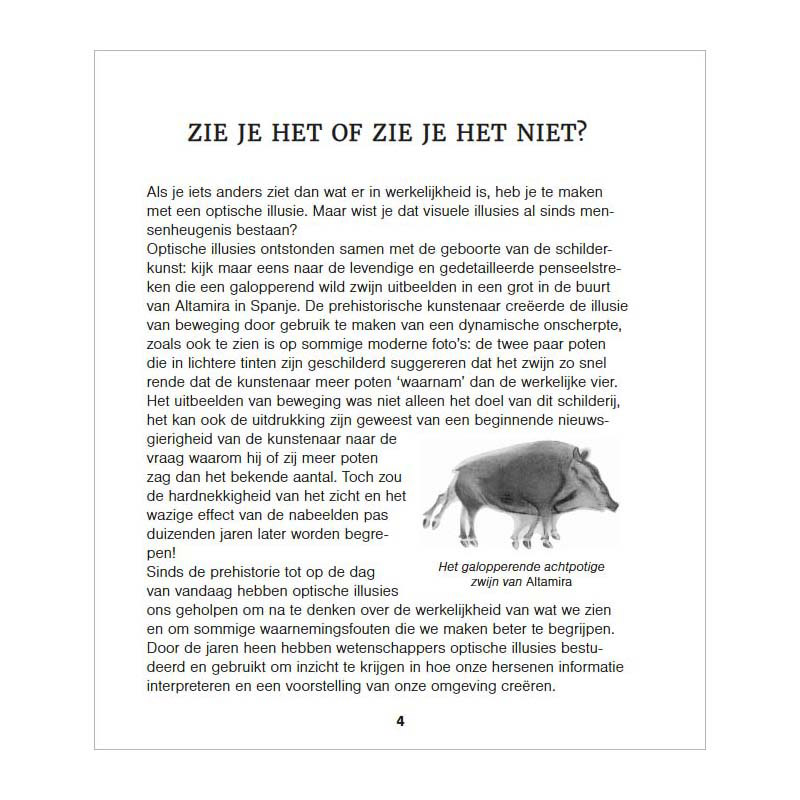 Verbluffende Optische Puzzels