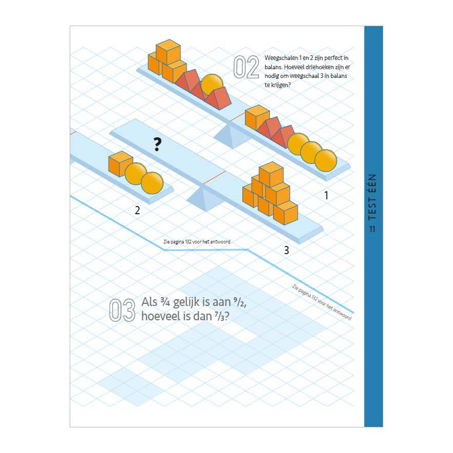 Het Ultieme IQ-testen Boek