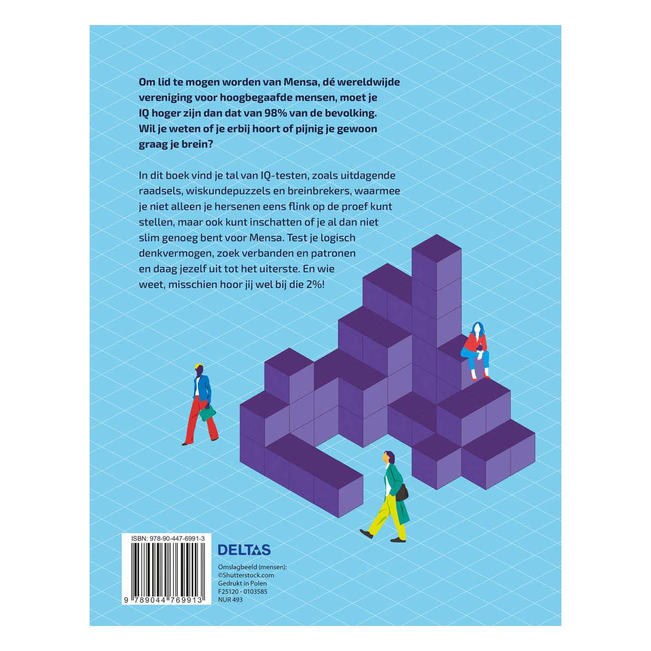 Het Ultieme IQ-testen Boek