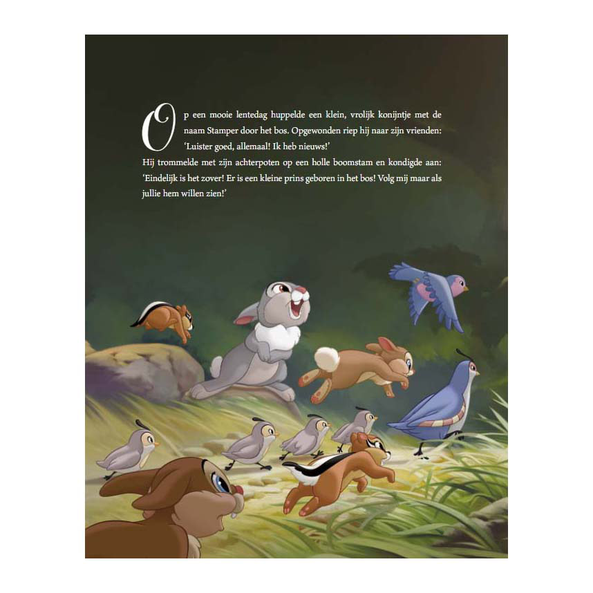 Disney Het Betoverende Sprookjesboek